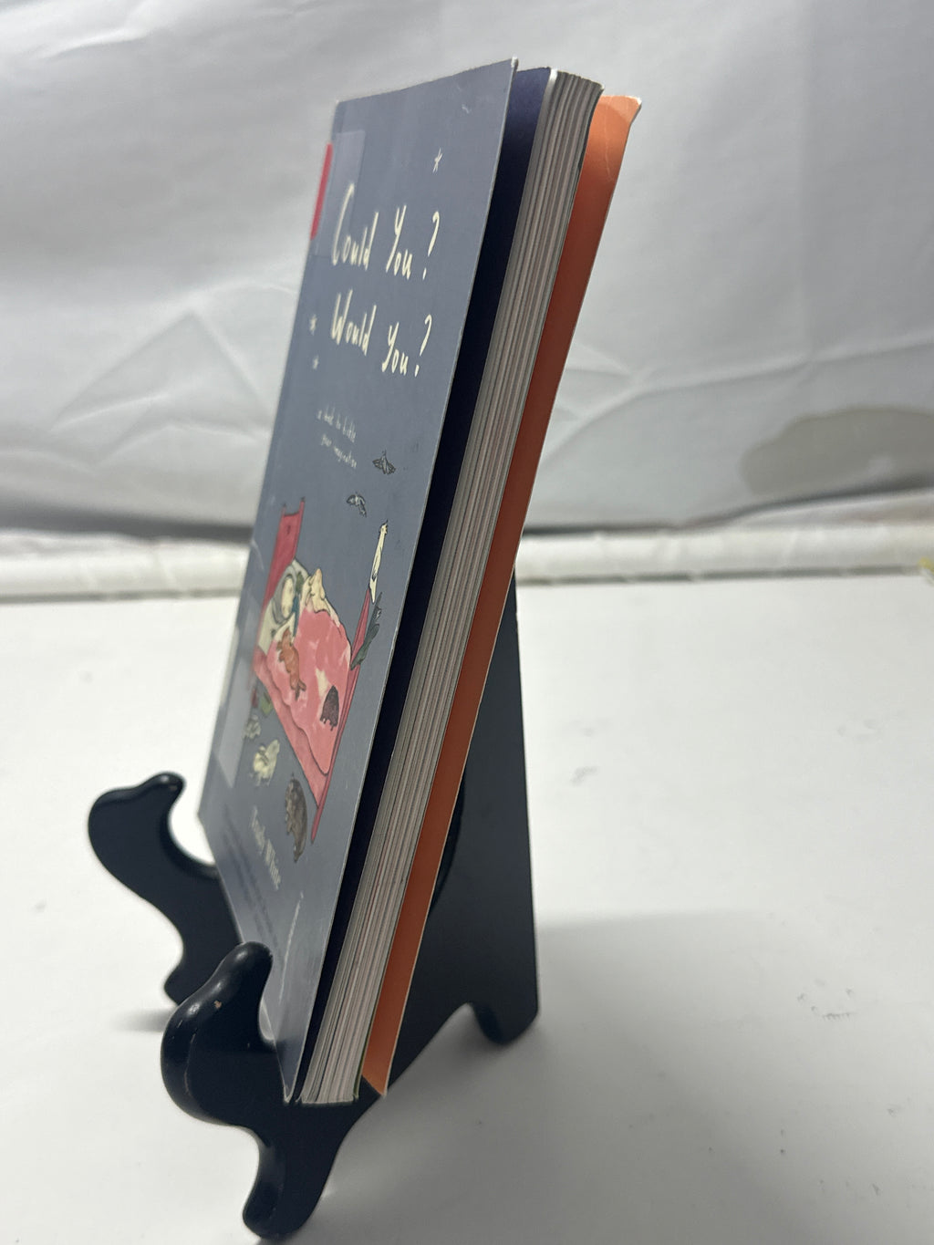 Could You? Would You? by Trudy White Hardcover