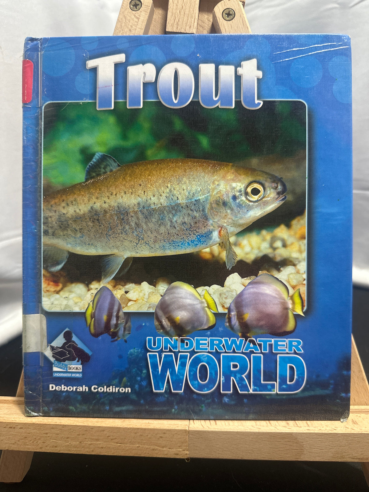 Trout by Deborah Coldiron Hardcover Juvenile literatura.