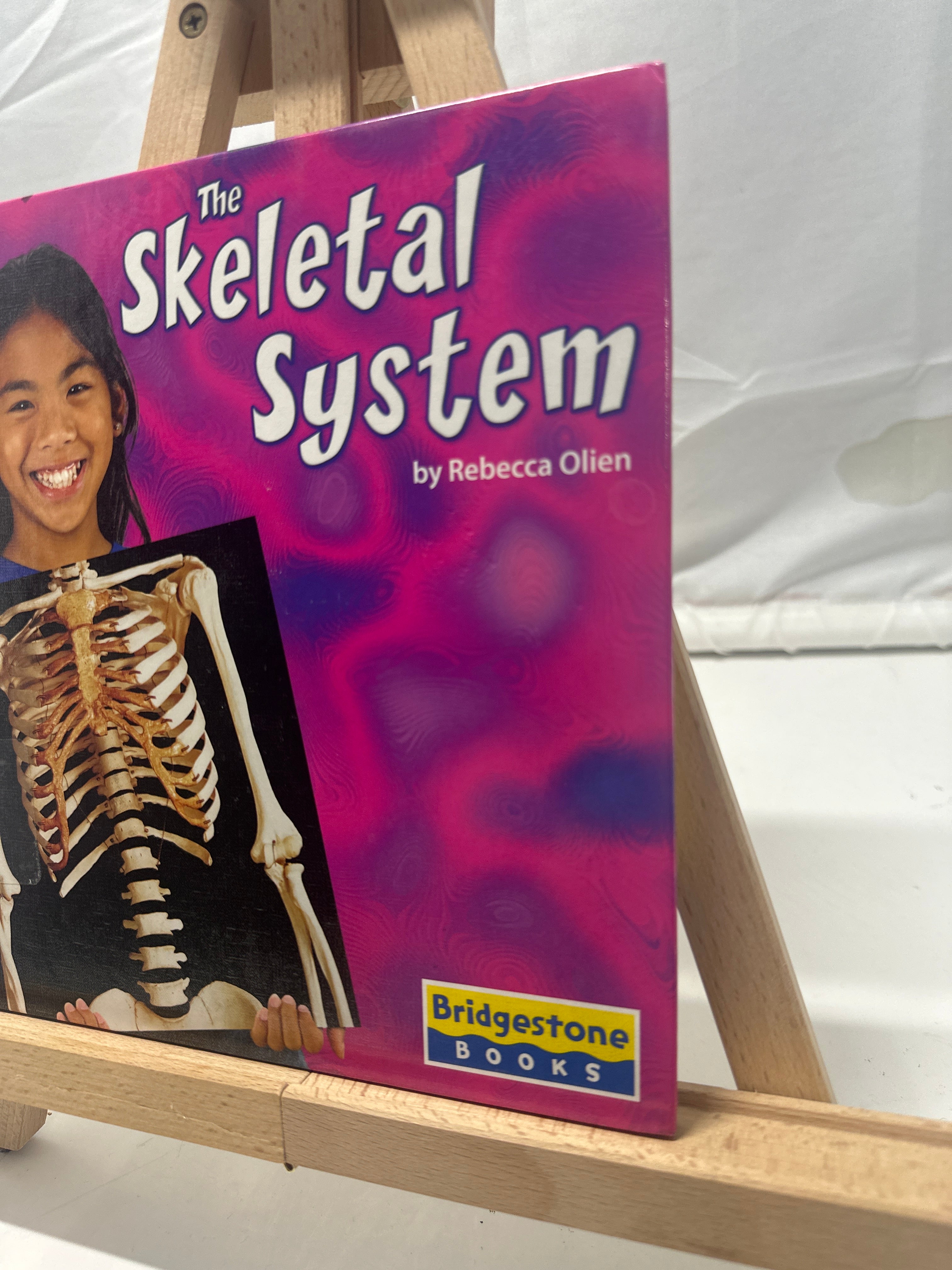 The Skeletal System by Rebecca Olien Hardcover