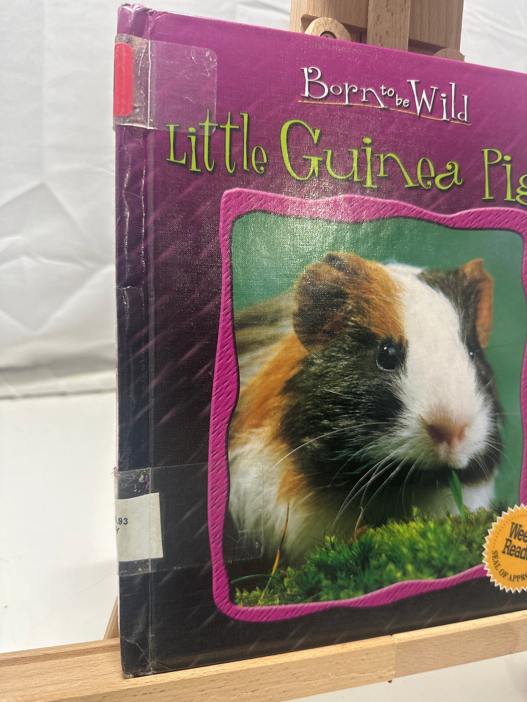 Little guinea pigs by Anne Royer Hardcover Children's Book