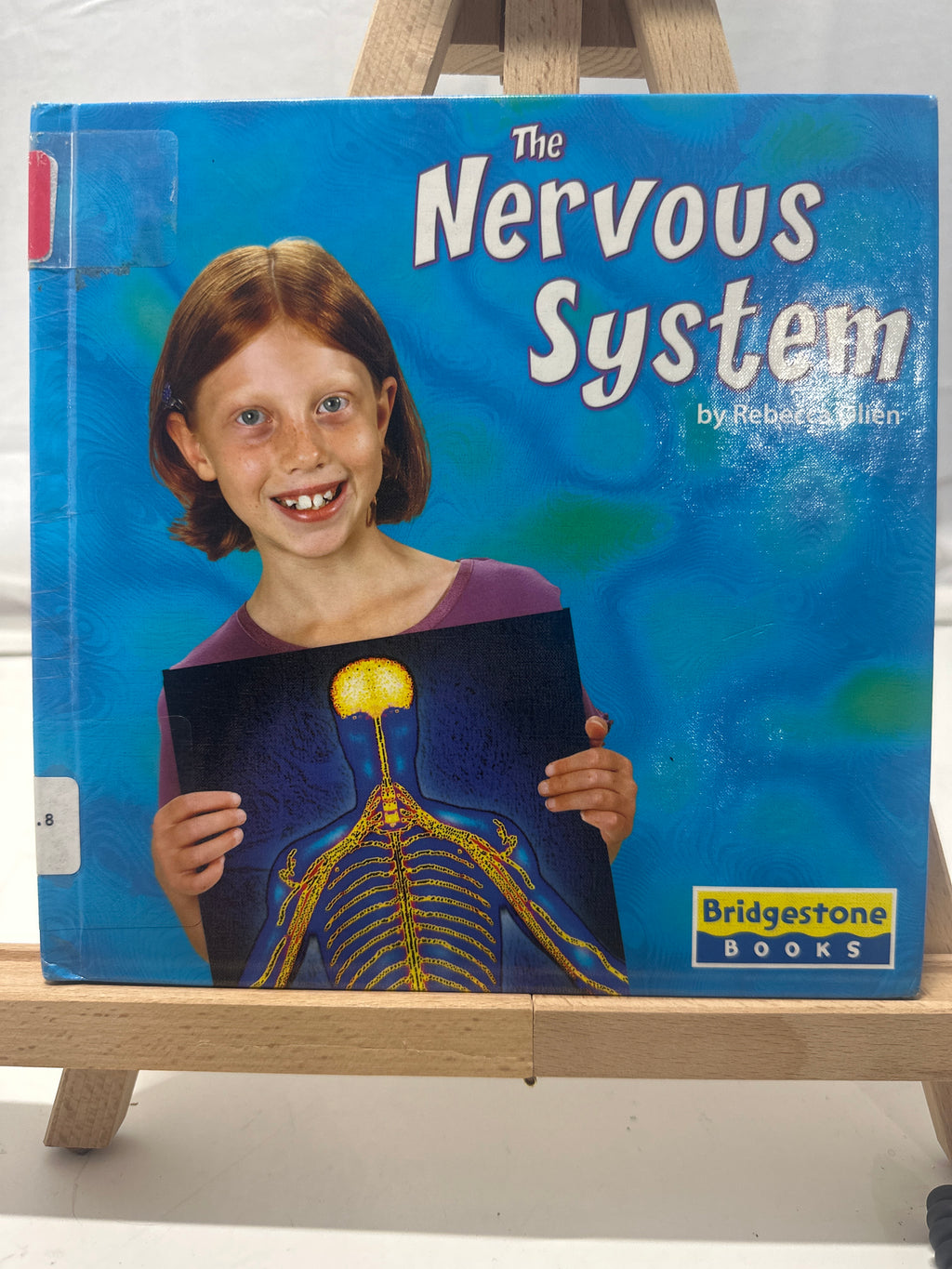 The Nervous System by Rebecca Olien Hardcover
