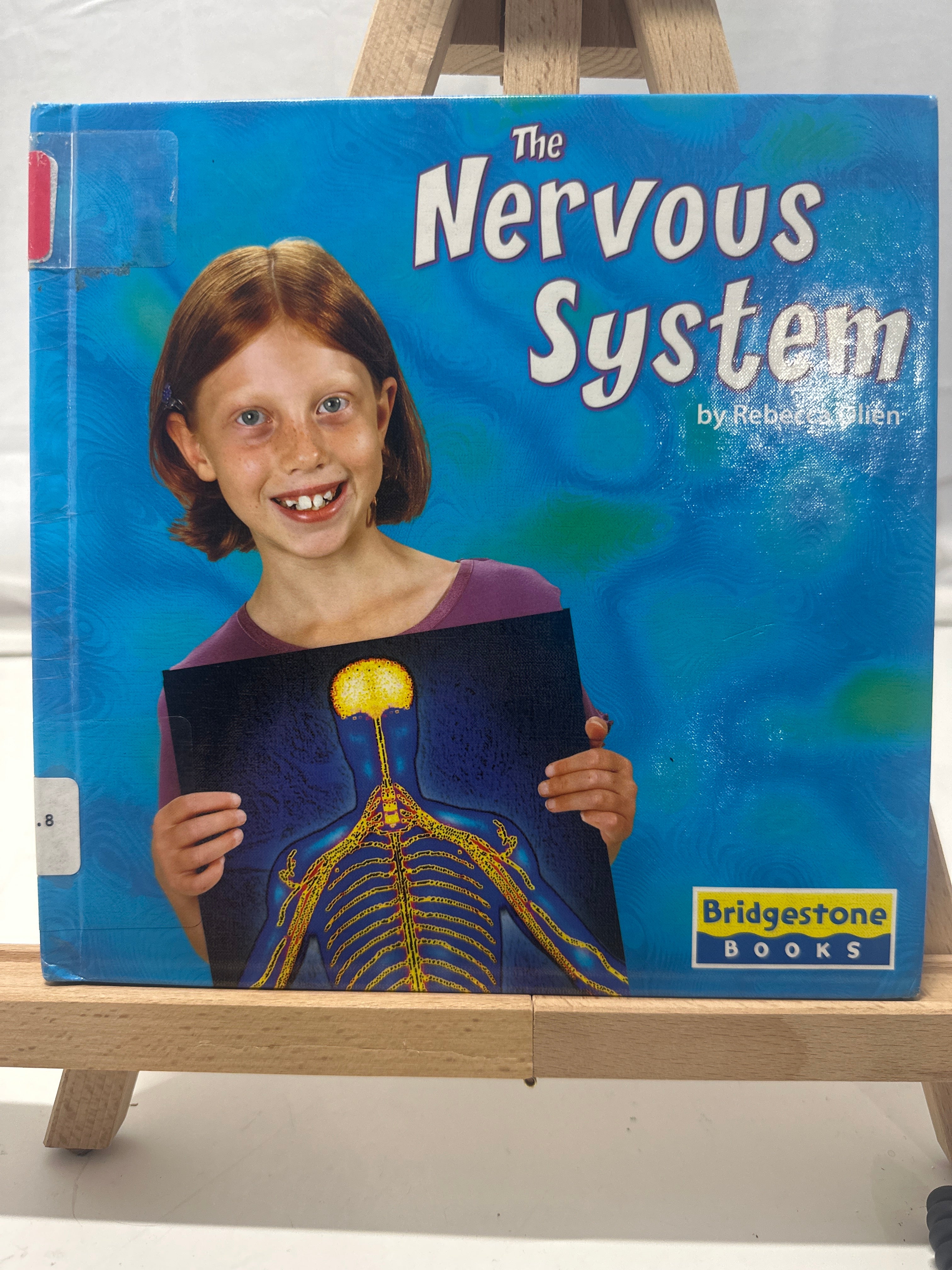 The Nervous System by Rebecca Olien Hardcover