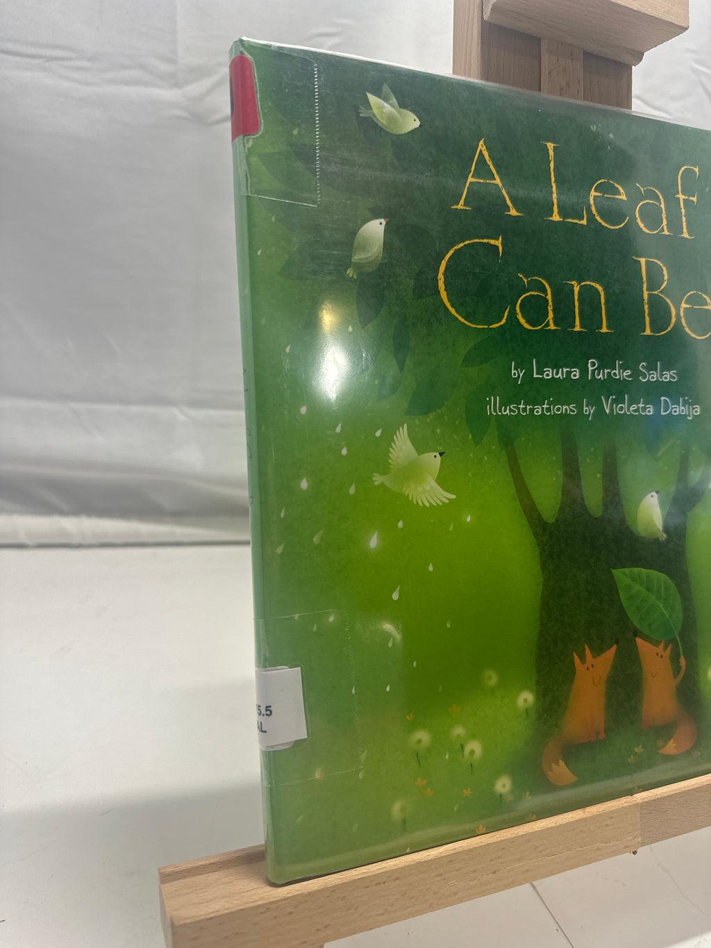 A Leaf Can Be . . . by Laura Purdie Salas Hardcover