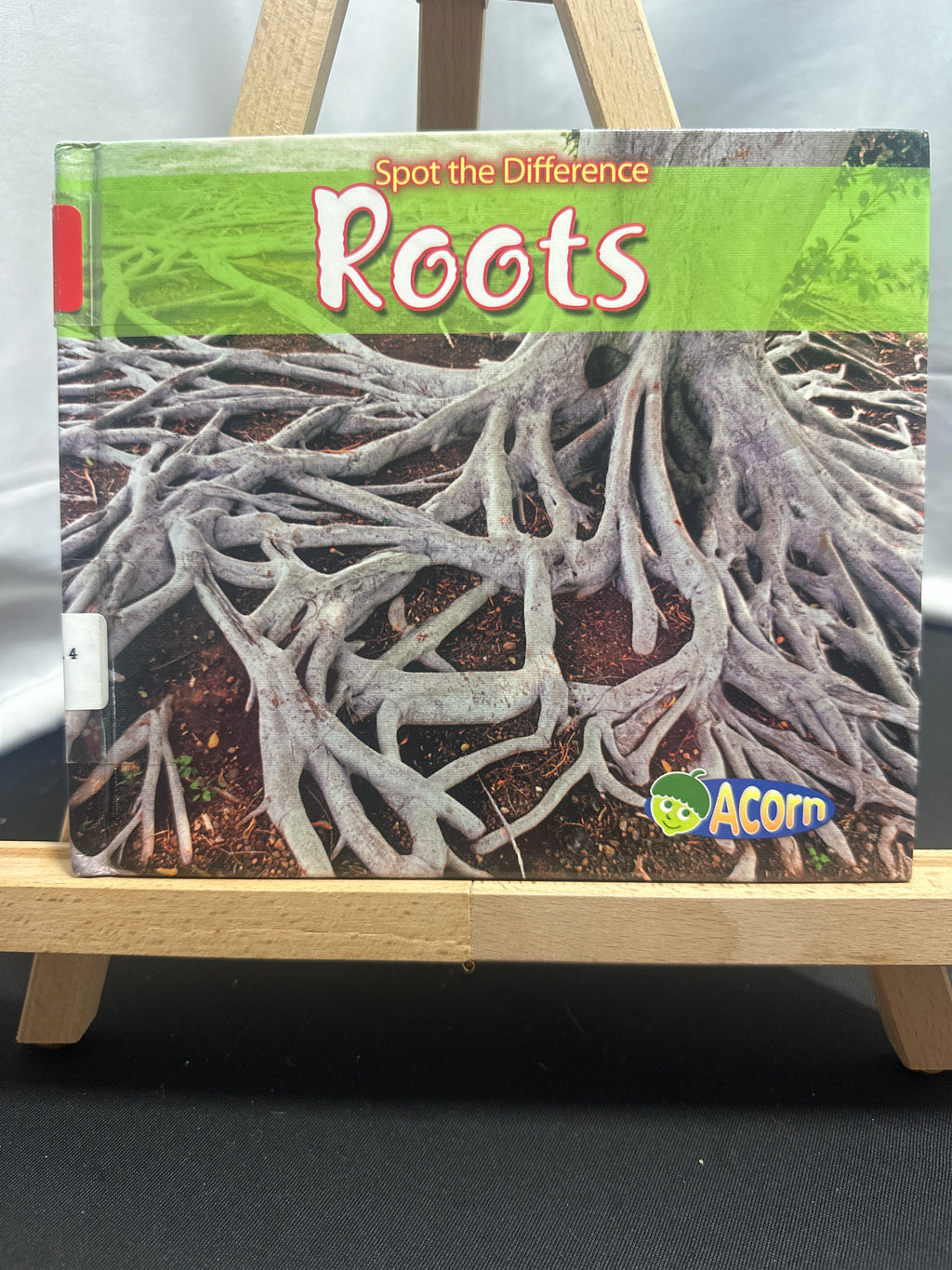 Roots by Charlotte Guillain Hardcover Children's Book