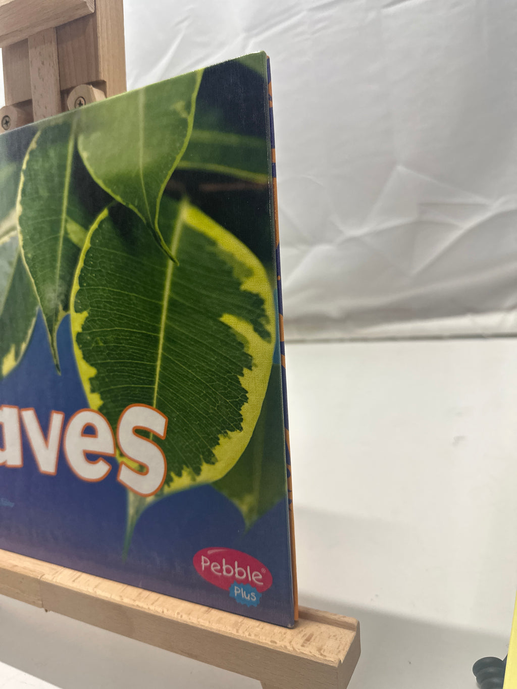 Leaves by Vijaya Khisty Bodach Hardcover