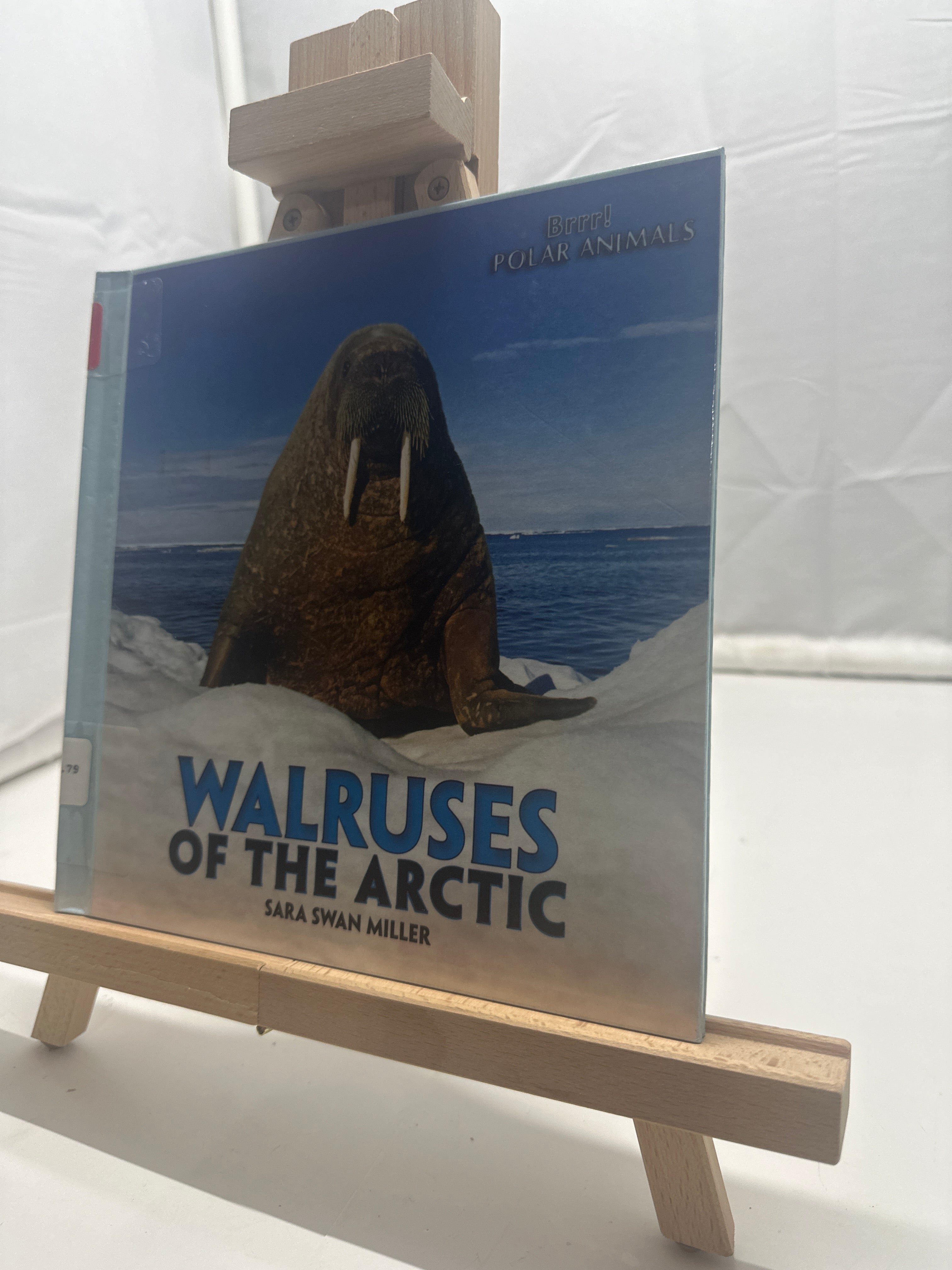 Walruses of the Arctic by Sara Swan Miller Hardcover