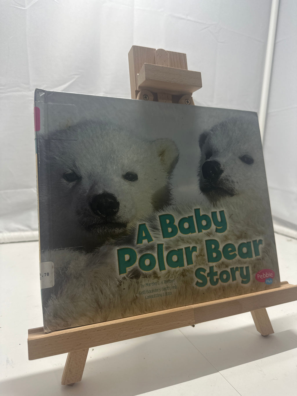 A baby polar bear story by Martha E. H. Rustad Hardcover