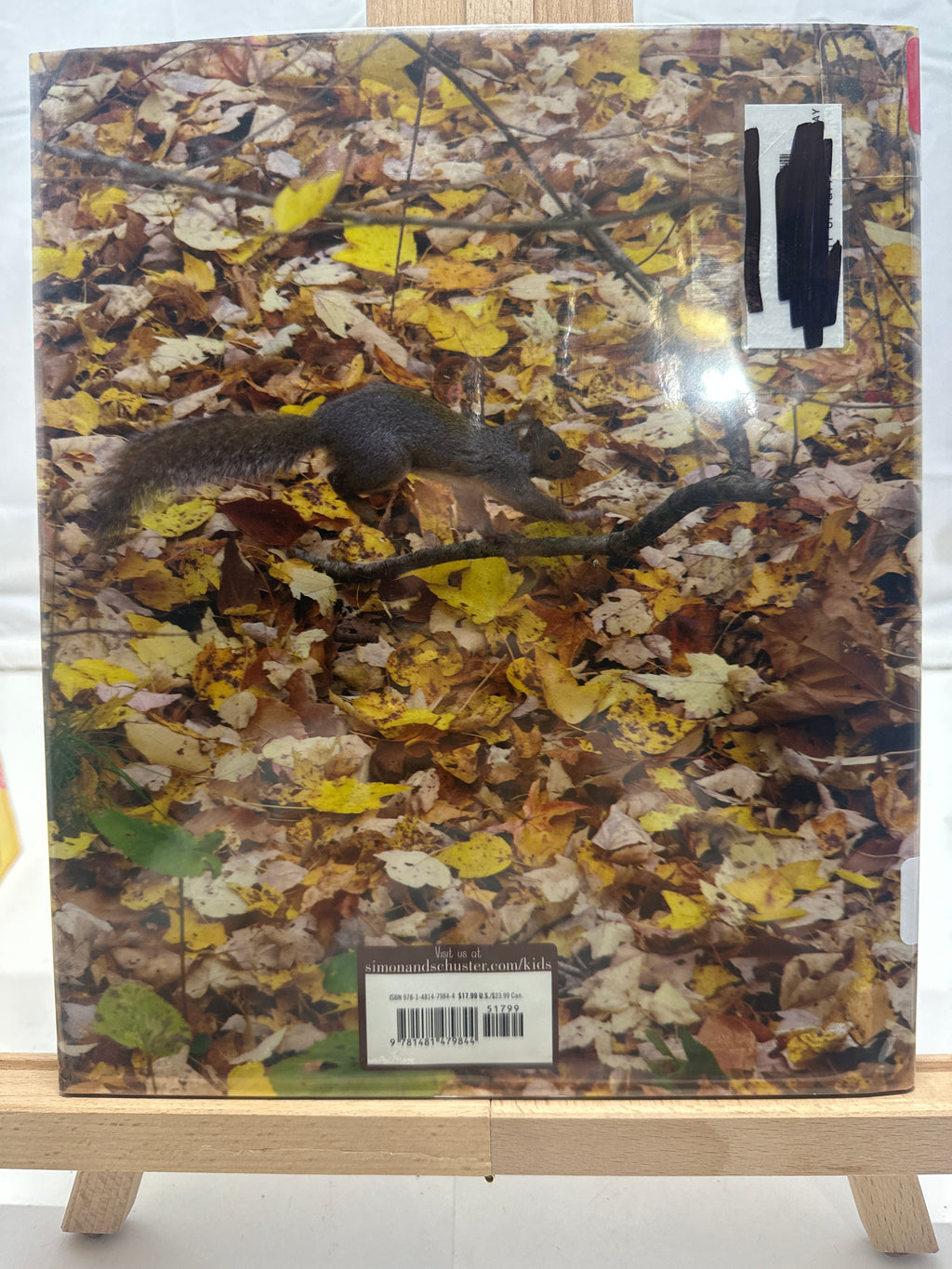 Full of Fall by April Pulley Sayre Hardcover