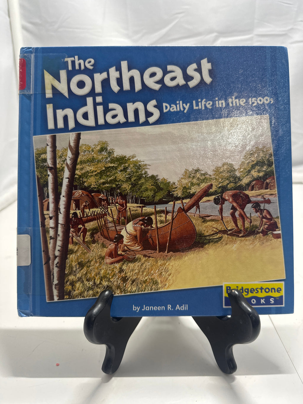 The Northeast Indians by Janeen R. Adil Hardcover