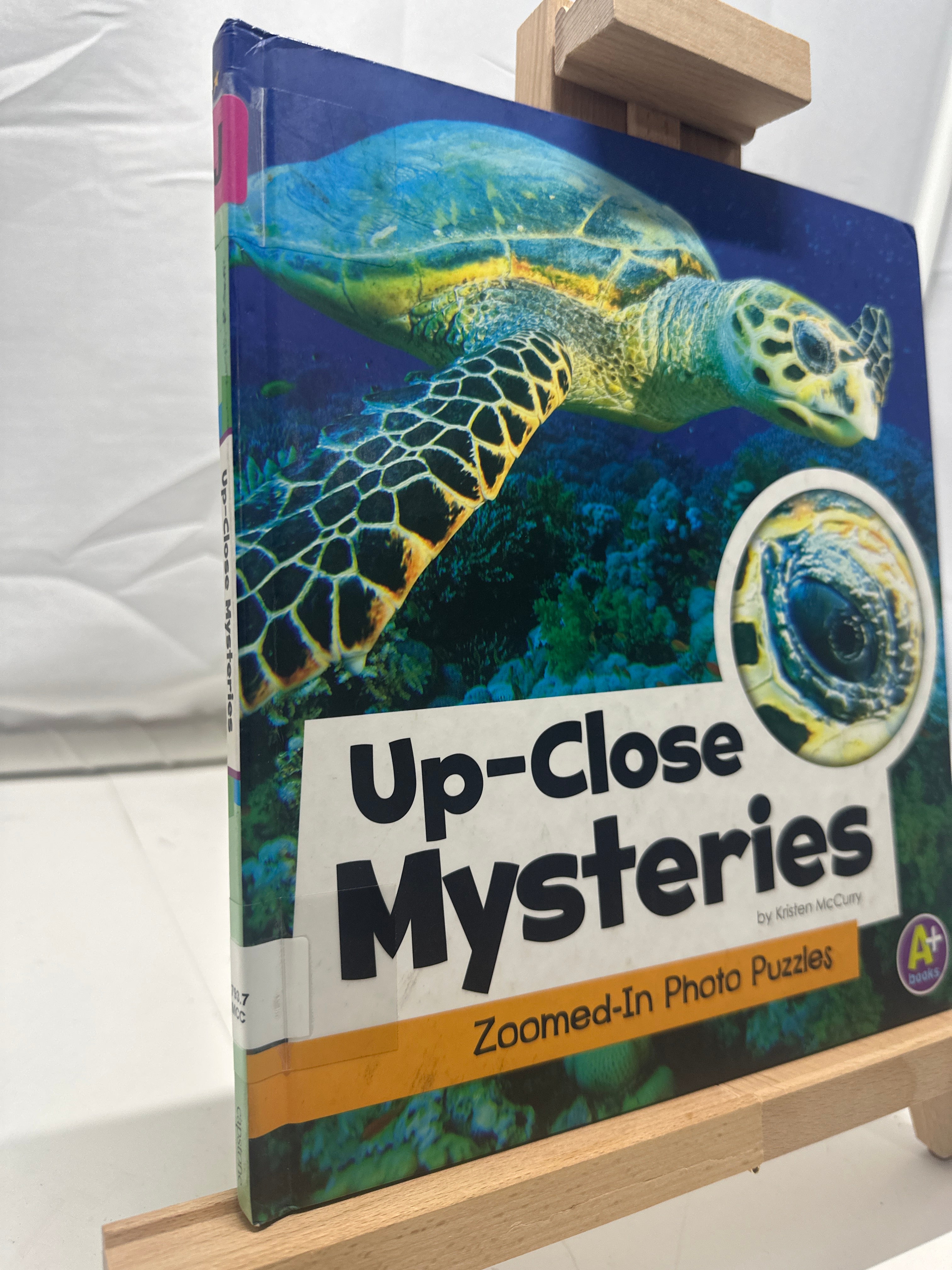 Up-Close Mysteries by Kristen McCurry Hardcover