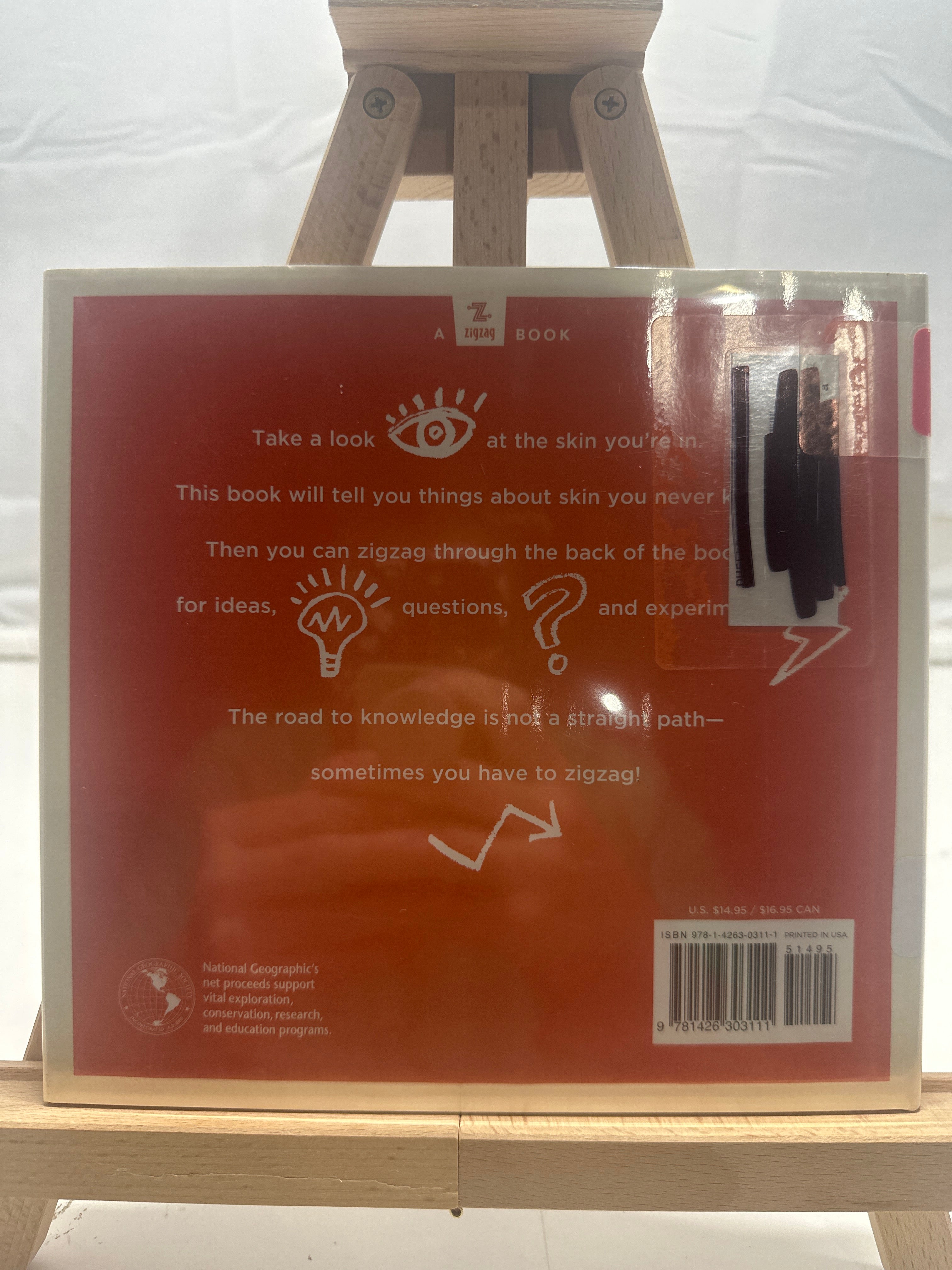 Your skin holds you in by Rebecca Baines Hardcover Children's Book