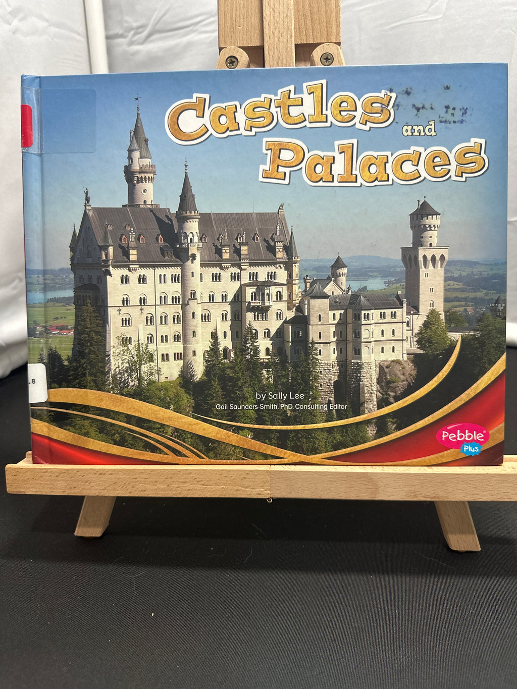 Castles and palaces by Sally Lee Hardcover
