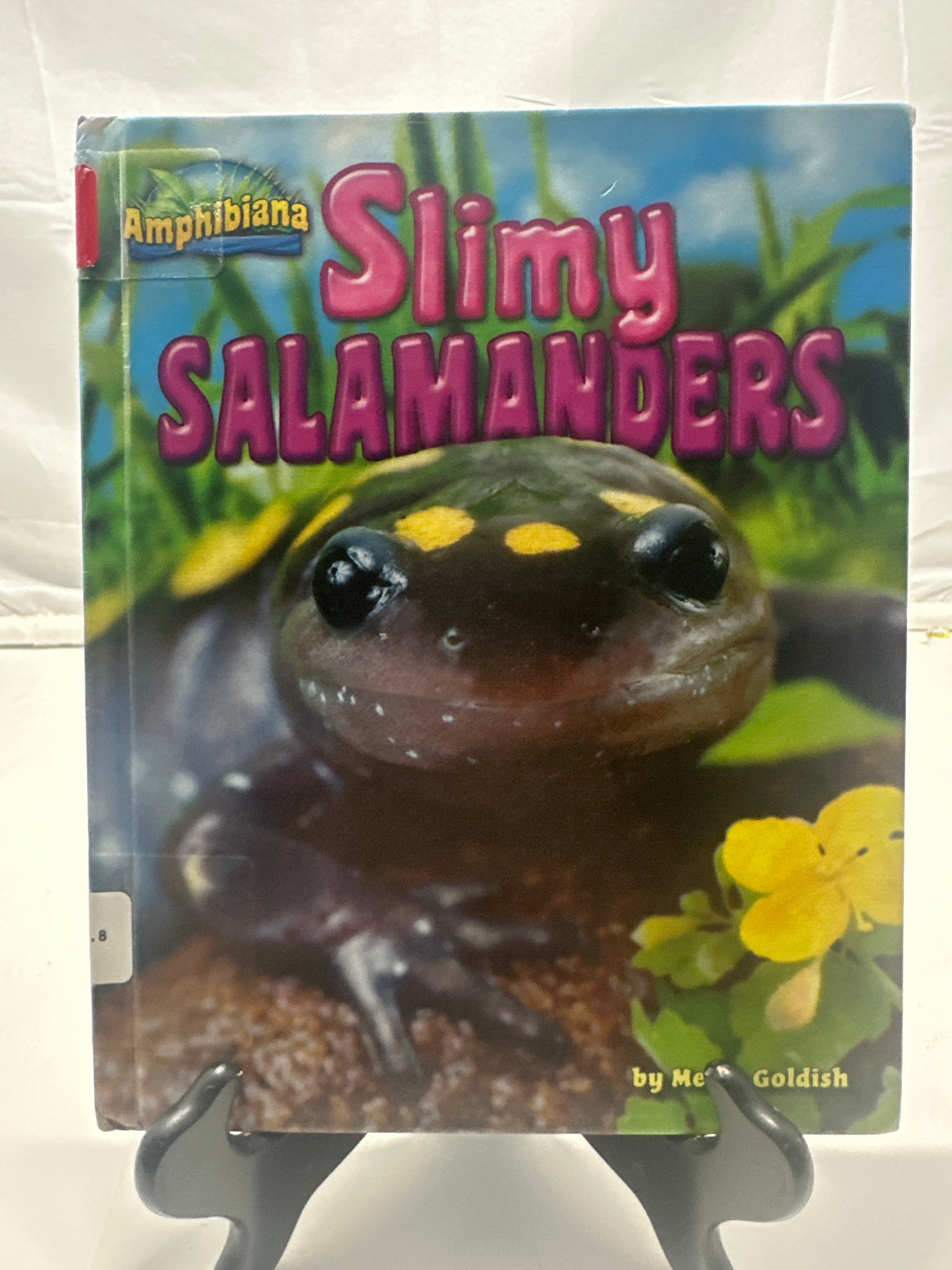Slimy salamanders by Meish Goldish Hardcover Children's Book