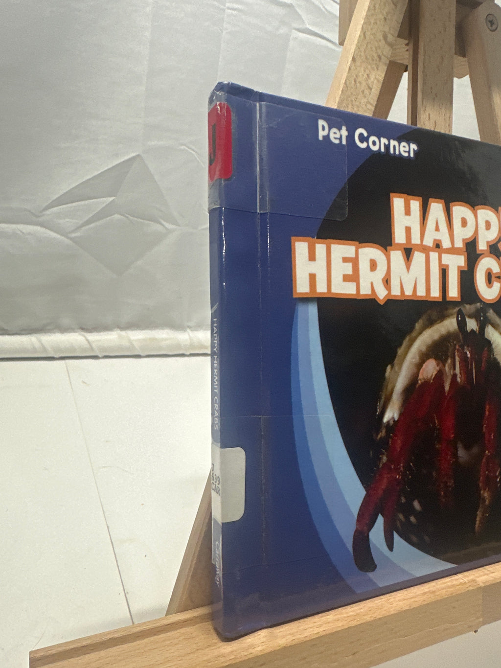Happy Hermit Crabs by Rose Carraway Hardcover