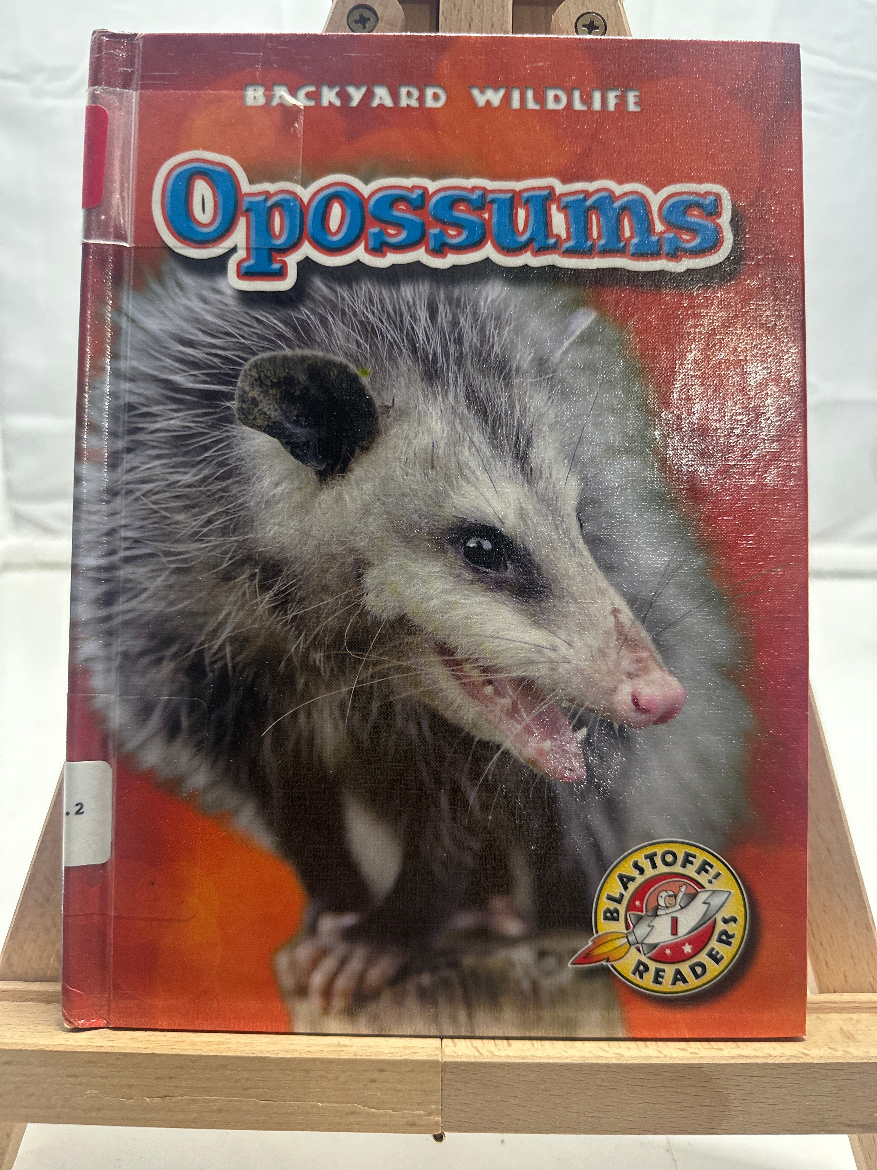 Opossums by Emily Green Hardcover