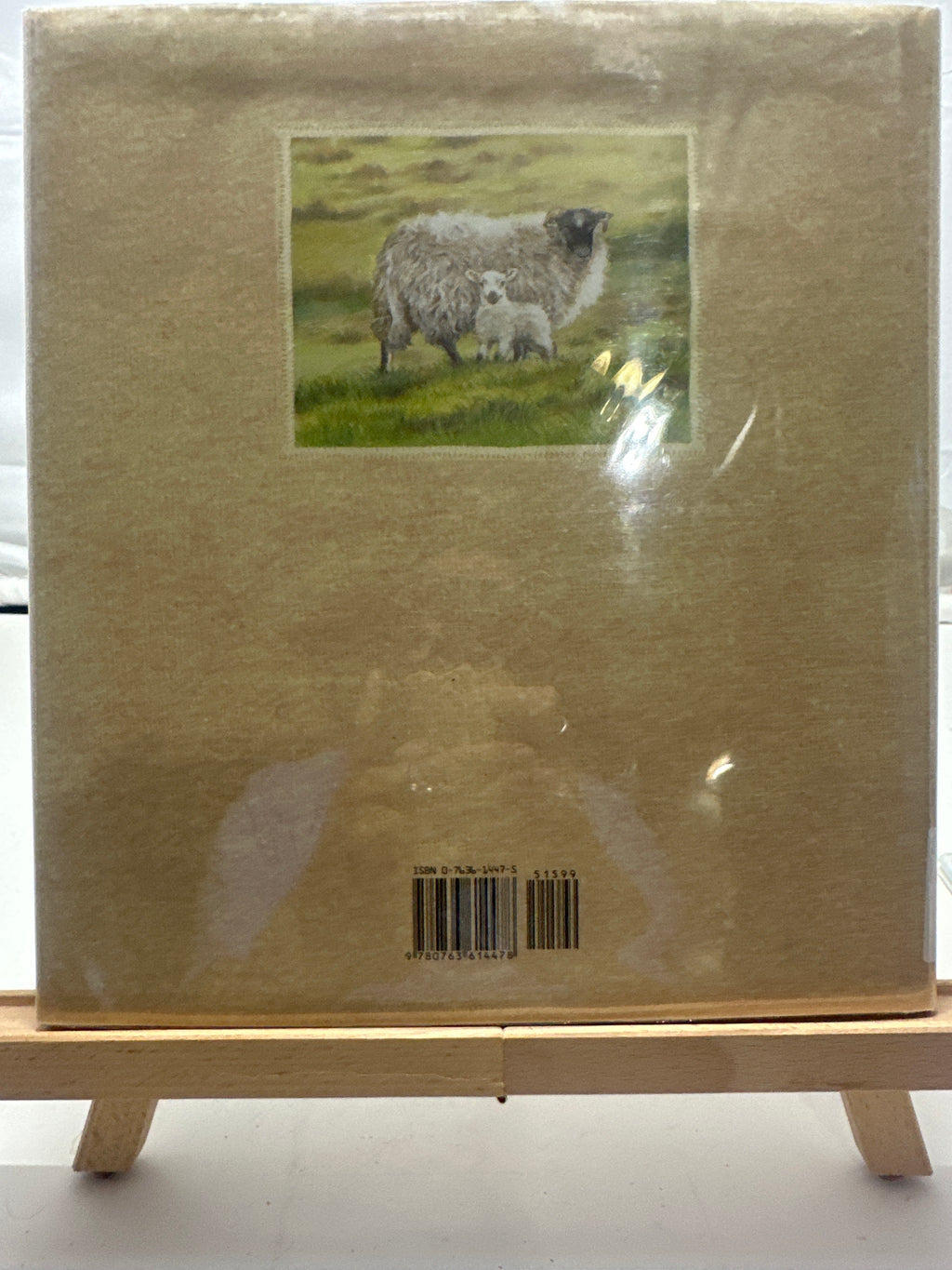 Little Baa by Kim Lewis Hardcover