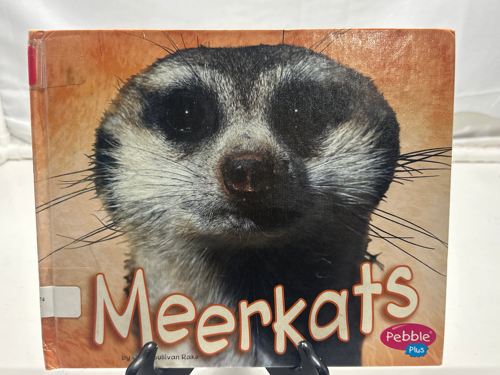 Meerkats by Jody Sullivan Rake Hardcover Children's Book