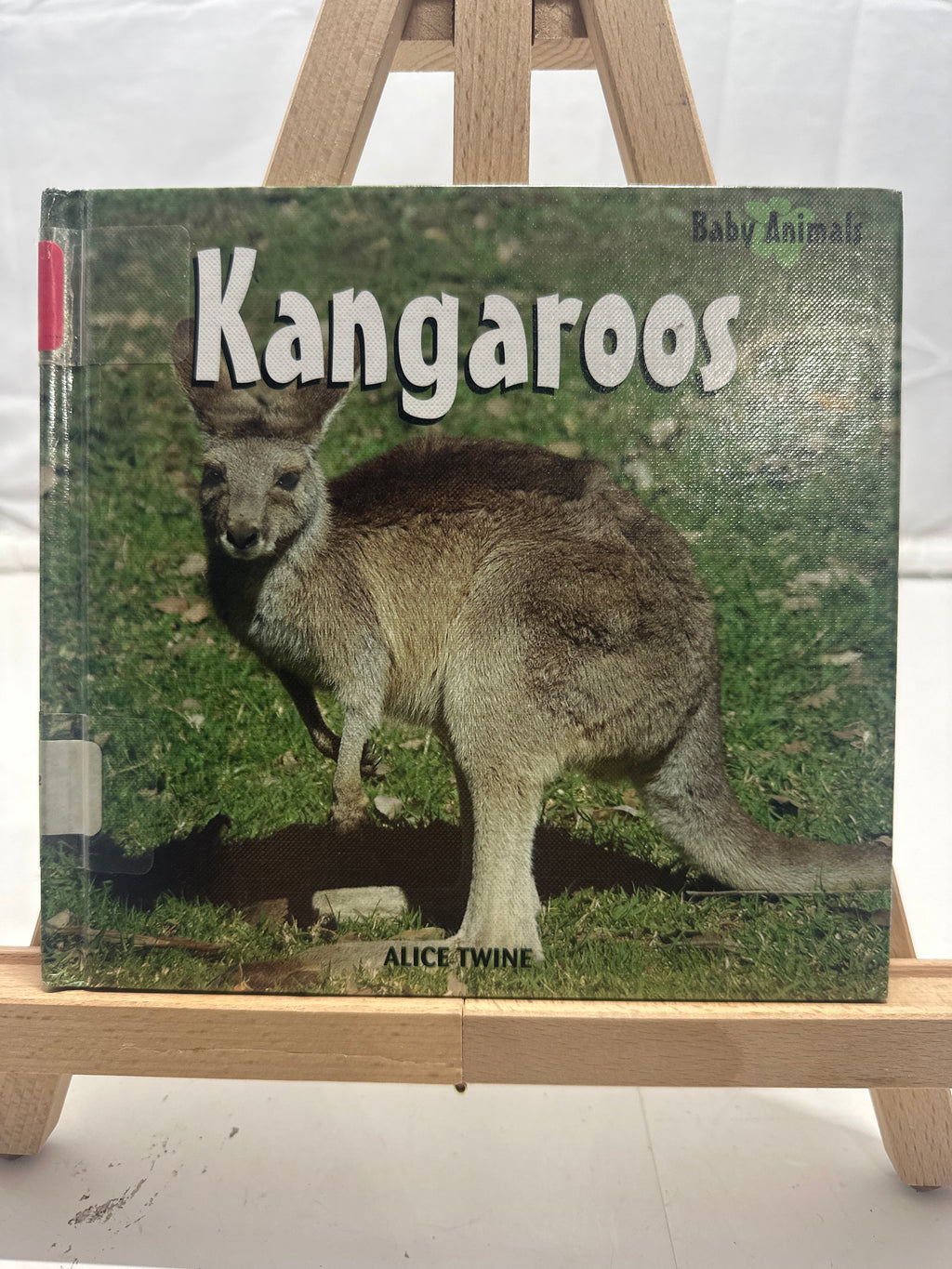 Kangaroos by Alice Twine Hardcover