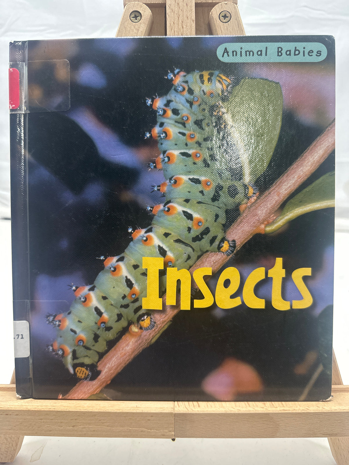 Insects by Rod Theodorou Hardcover