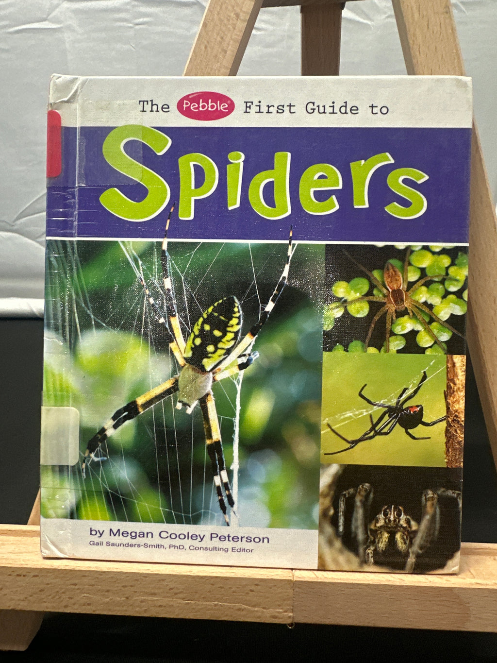The Pebble first guide to spiders by Megan Cooley Peterson Hardcover Children's