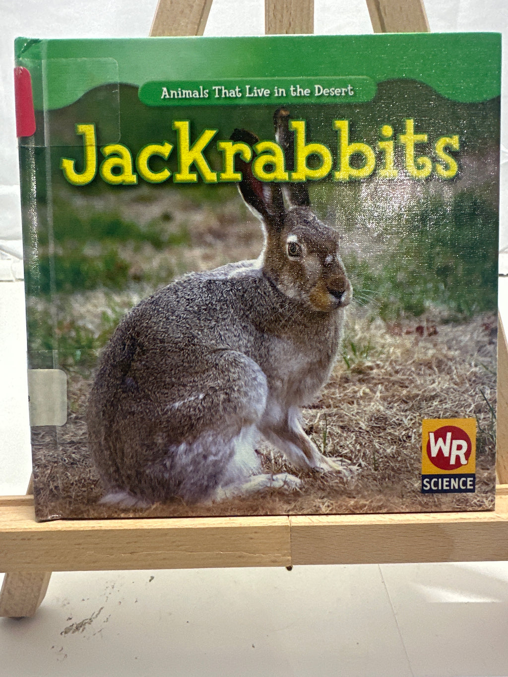 Jackrabbits by JoAnn Early Macken Hardcover Children's Book