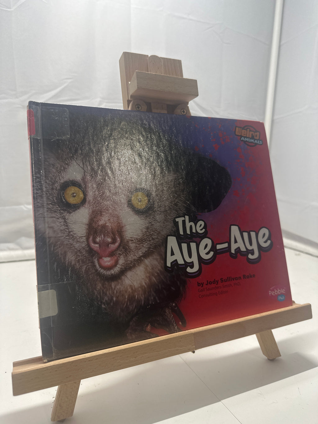 The Aye-Aye by Jody Sullivan Rake Hardcover