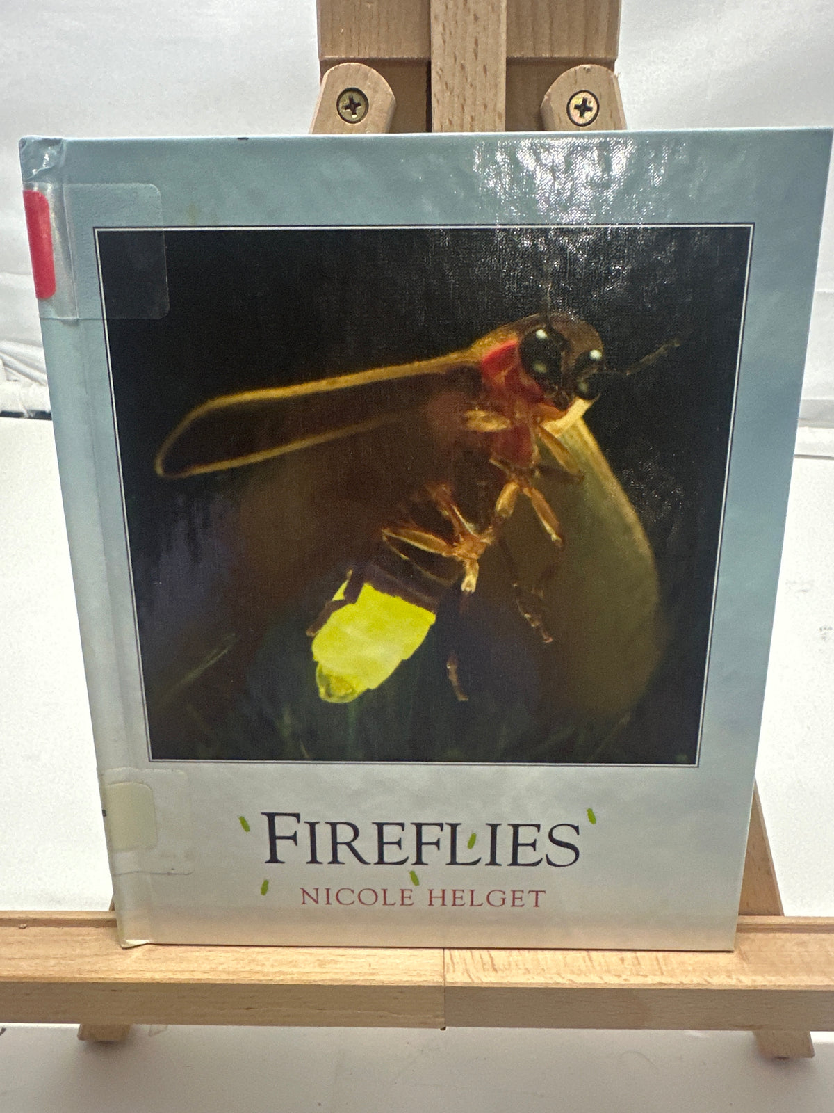 Fireflies by Nicole Helget Hardcover
