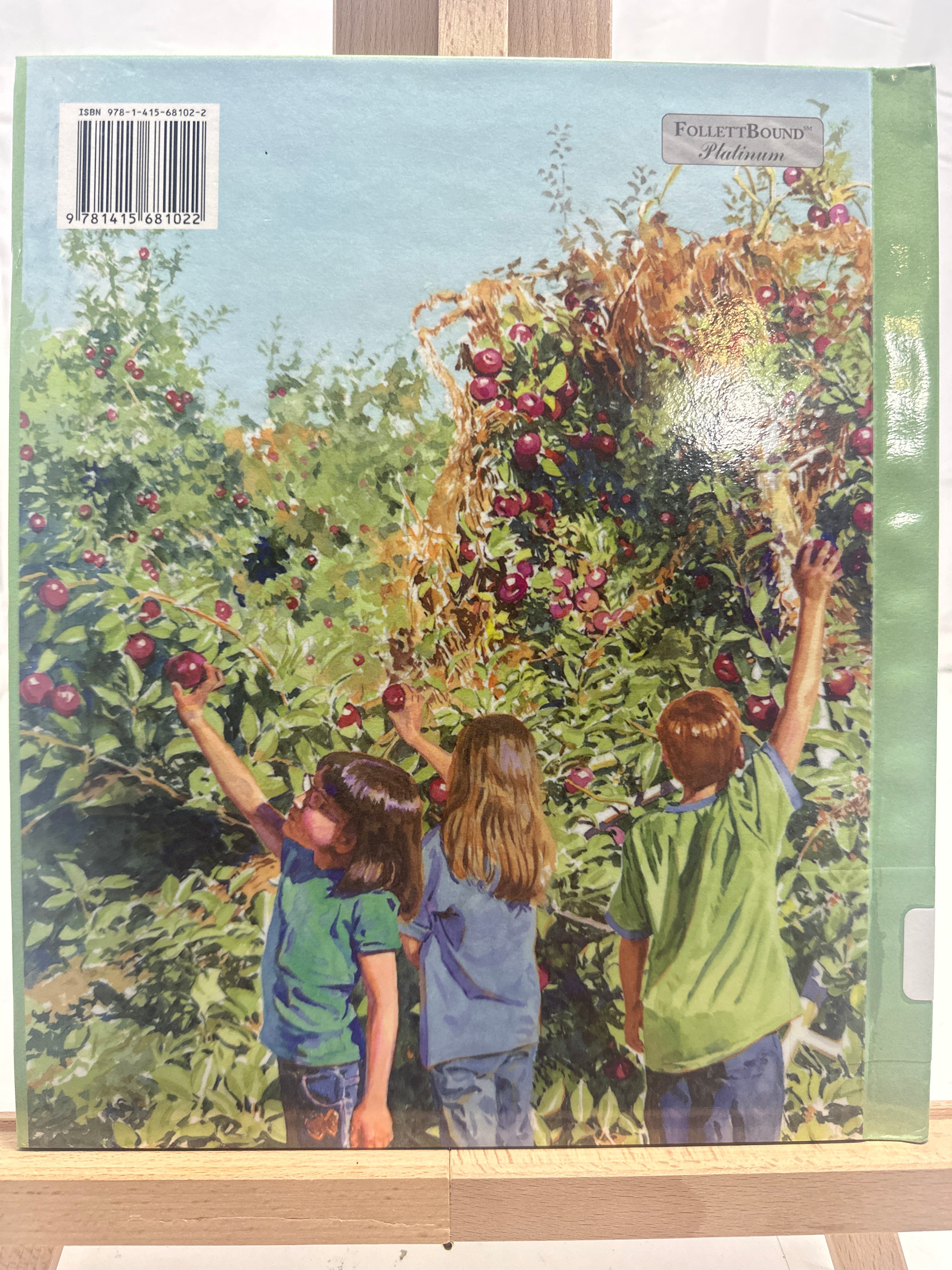 One Green Apple by Eve Bunting Hardcover