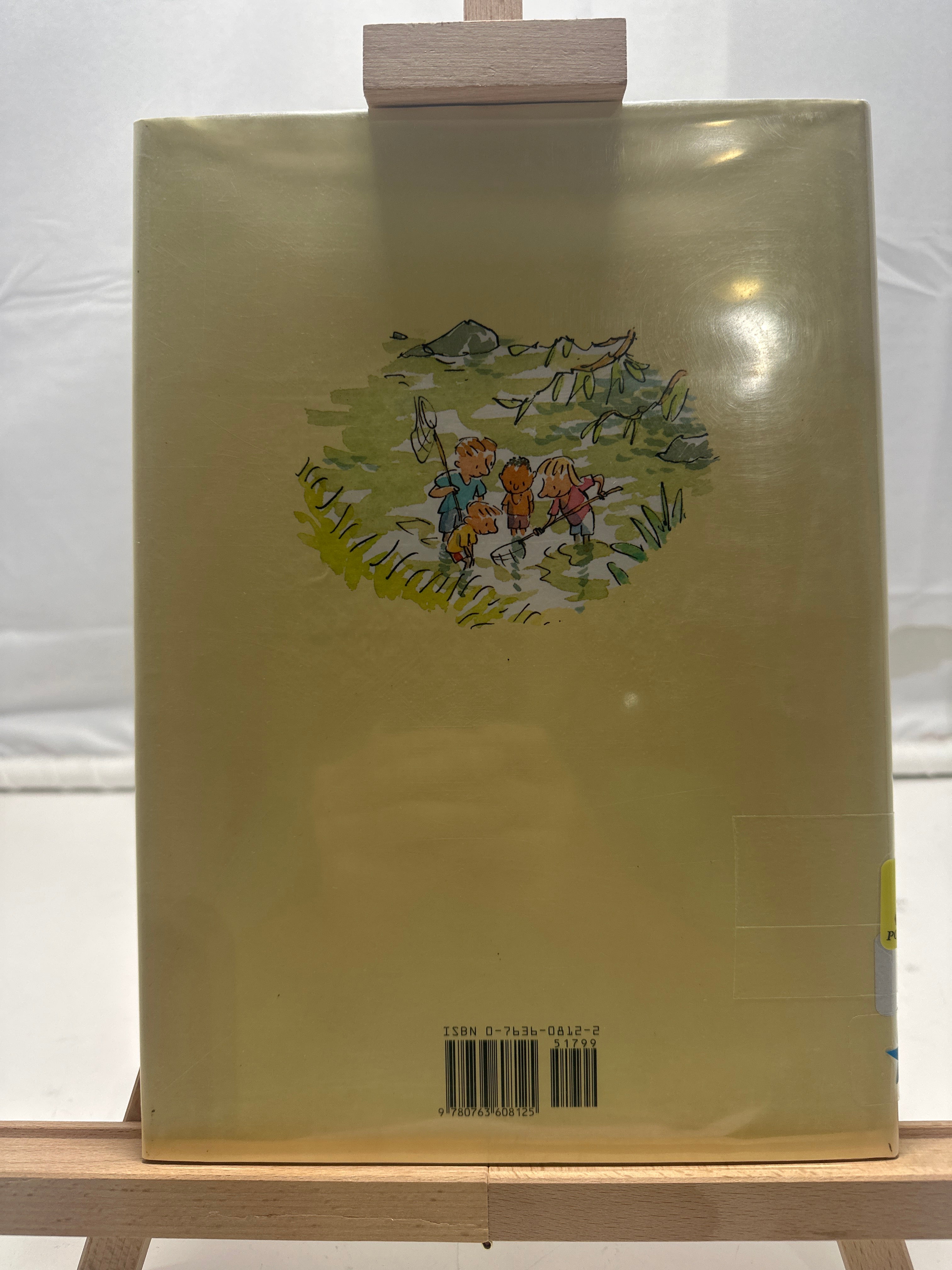 Days Like this by Simon James Hardcover