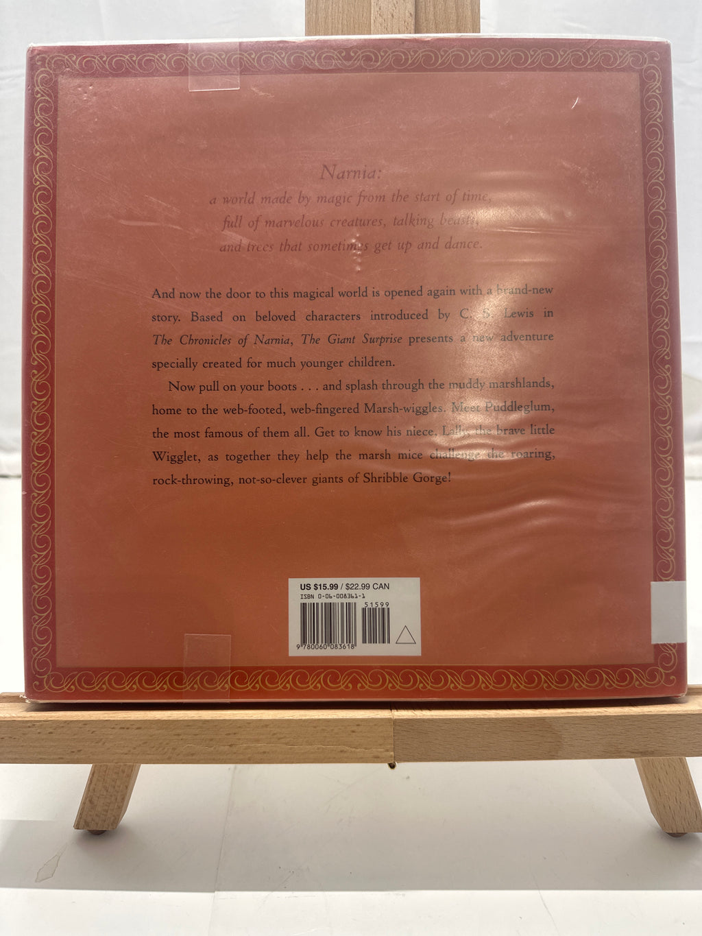 The Giant Surprise by Hiawyn Oram Hardcover