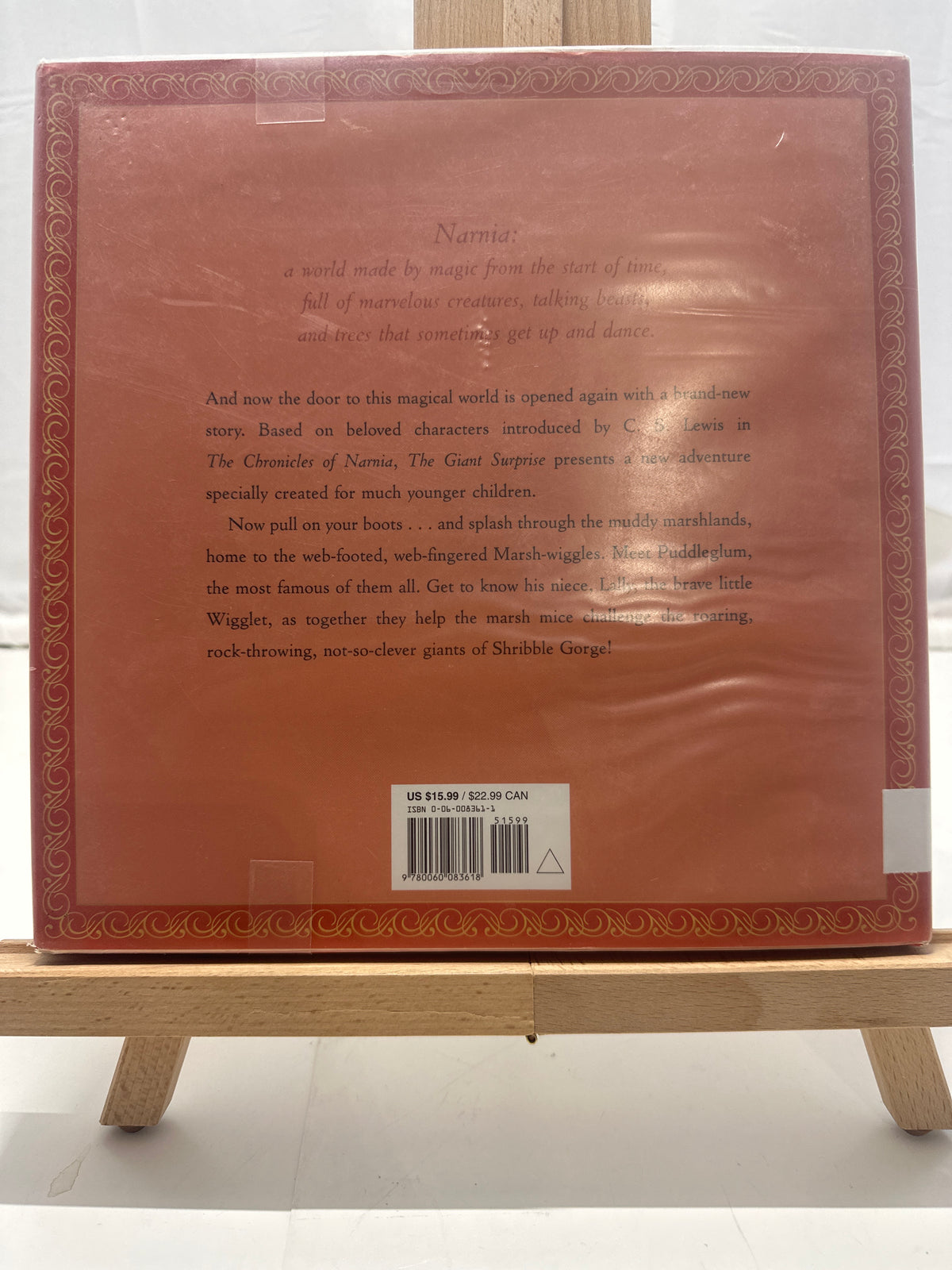 The Giant Surprise by Hiawyn Oram Hardcover