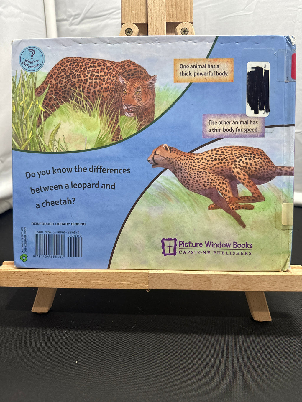 What's the difference between a leopard and a cheetah? by Lisa Bullard Hardcover