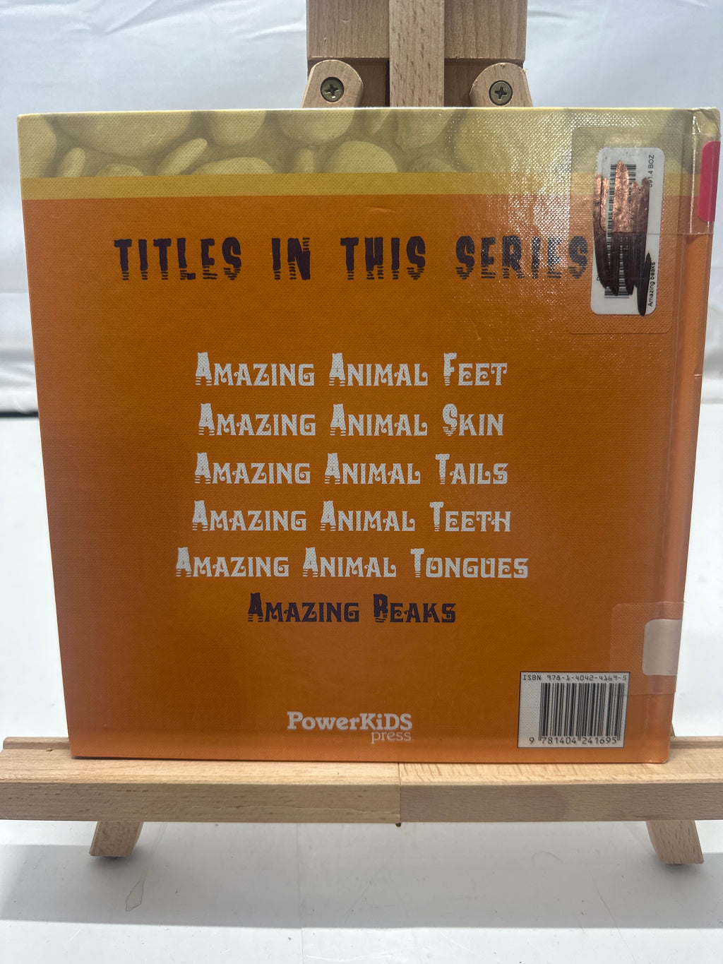 Amazing Beaks by Linda Bozzo Hardcover