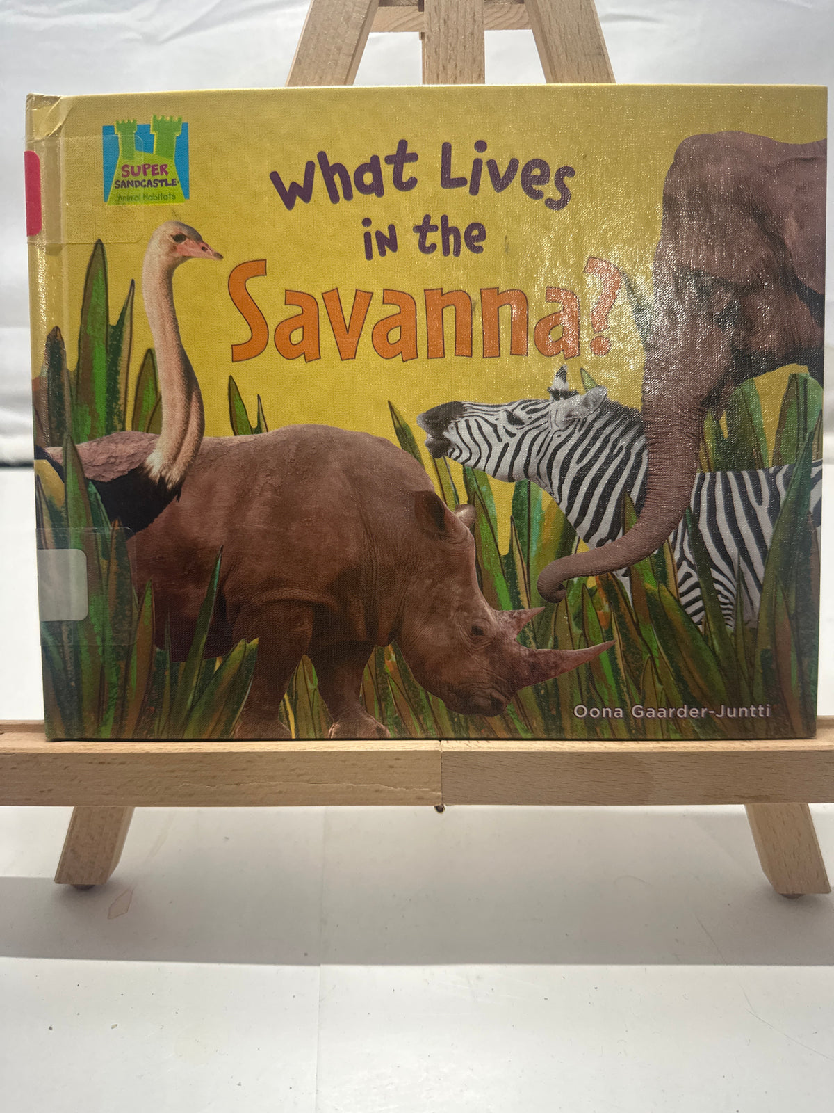 What Lives in the Savanna? by Oona Gaarder-Juntti Hardcover