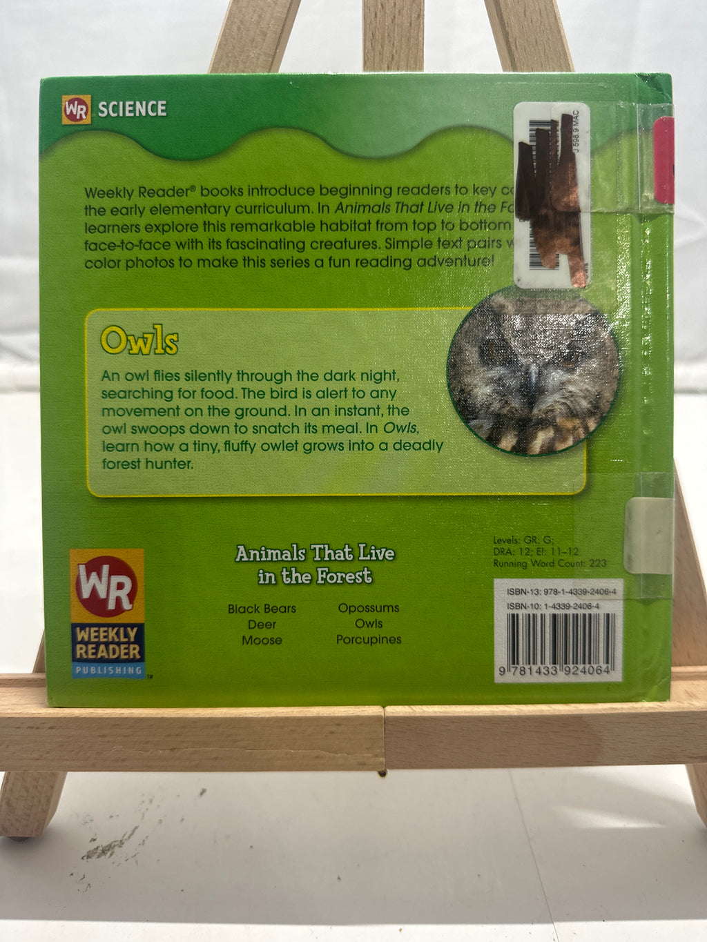 Owls by JoAnn Early Macken Hardcover Children's Book