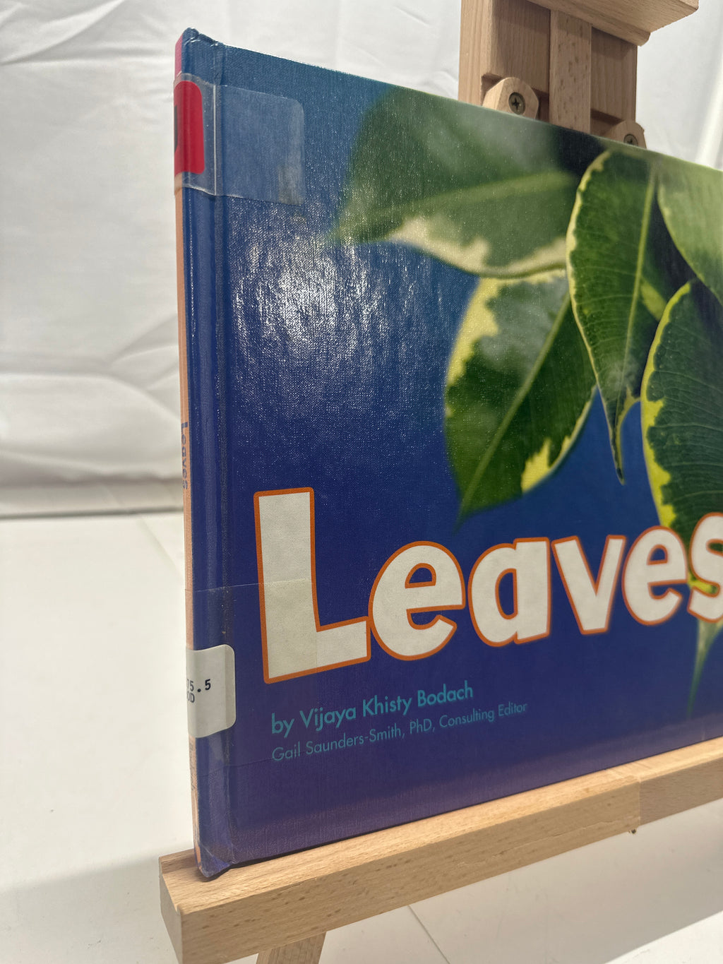 Leaves by Vijaya Khisty Bodach Hardcover