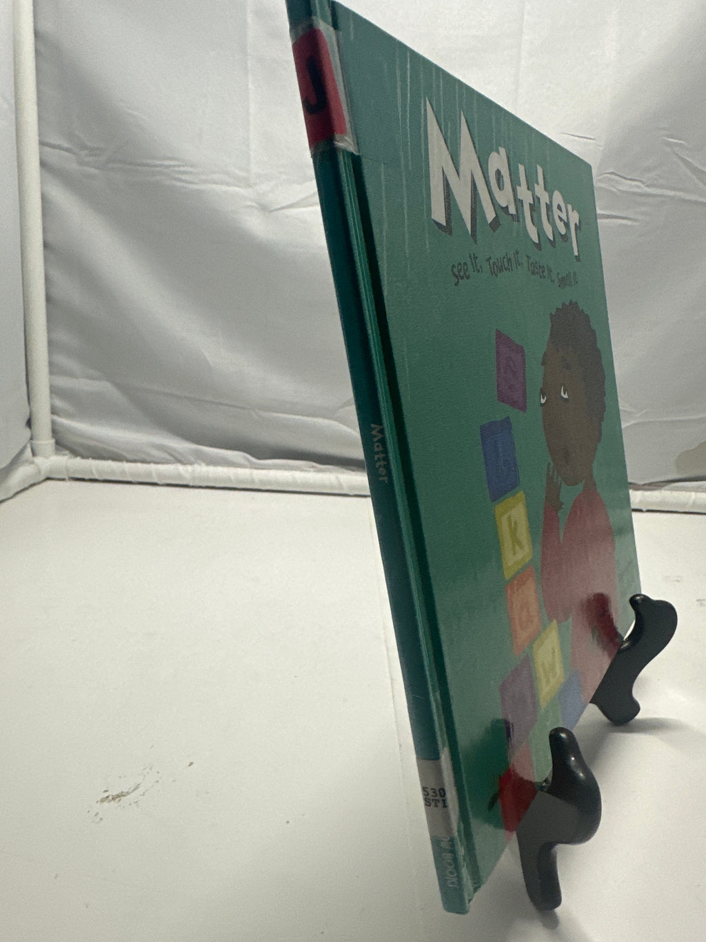 Matter by Darlene R. Stille Hardcover