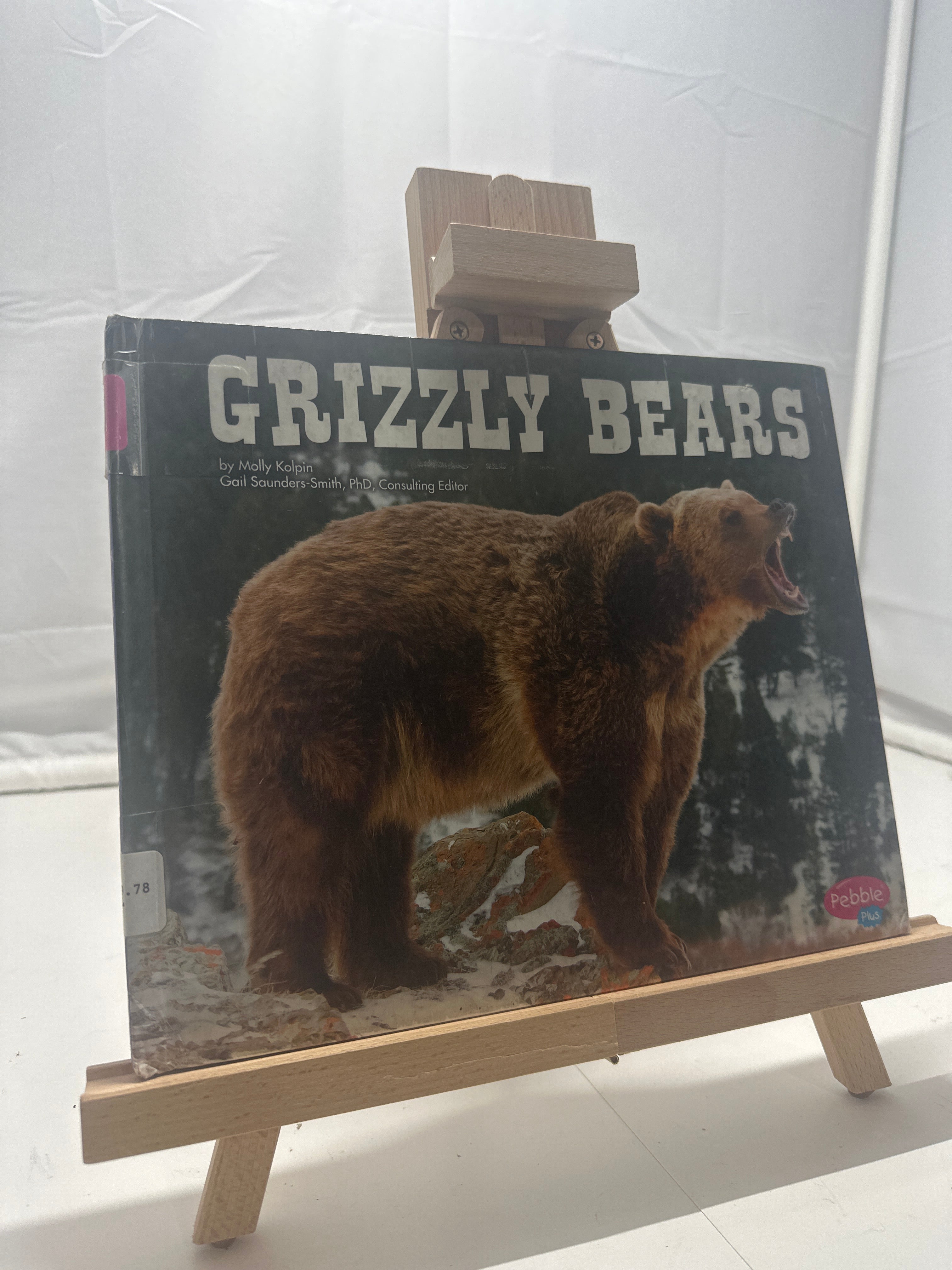 Grizzly Bears by Molly Kolpin Hardcover