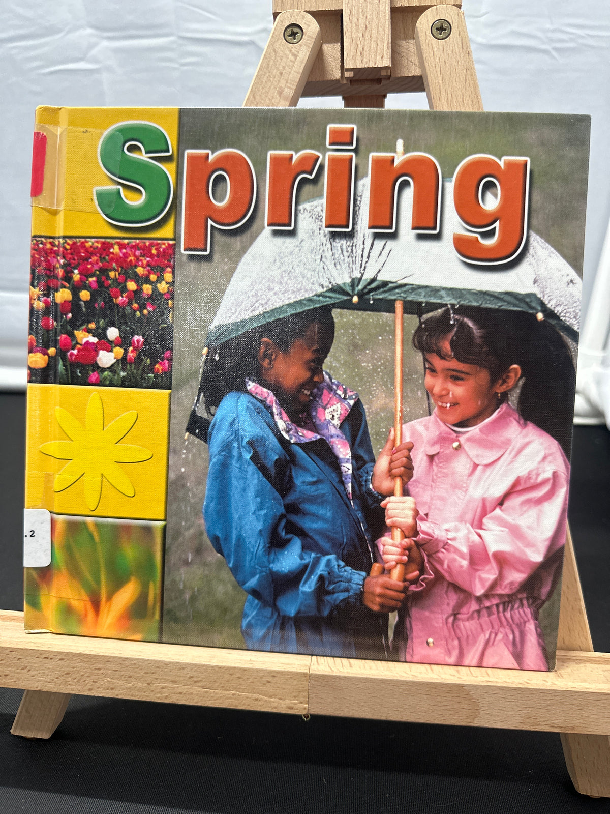 Spring (Bridgestone Science Library Seasons) by Terri DeGezelle Hardcover