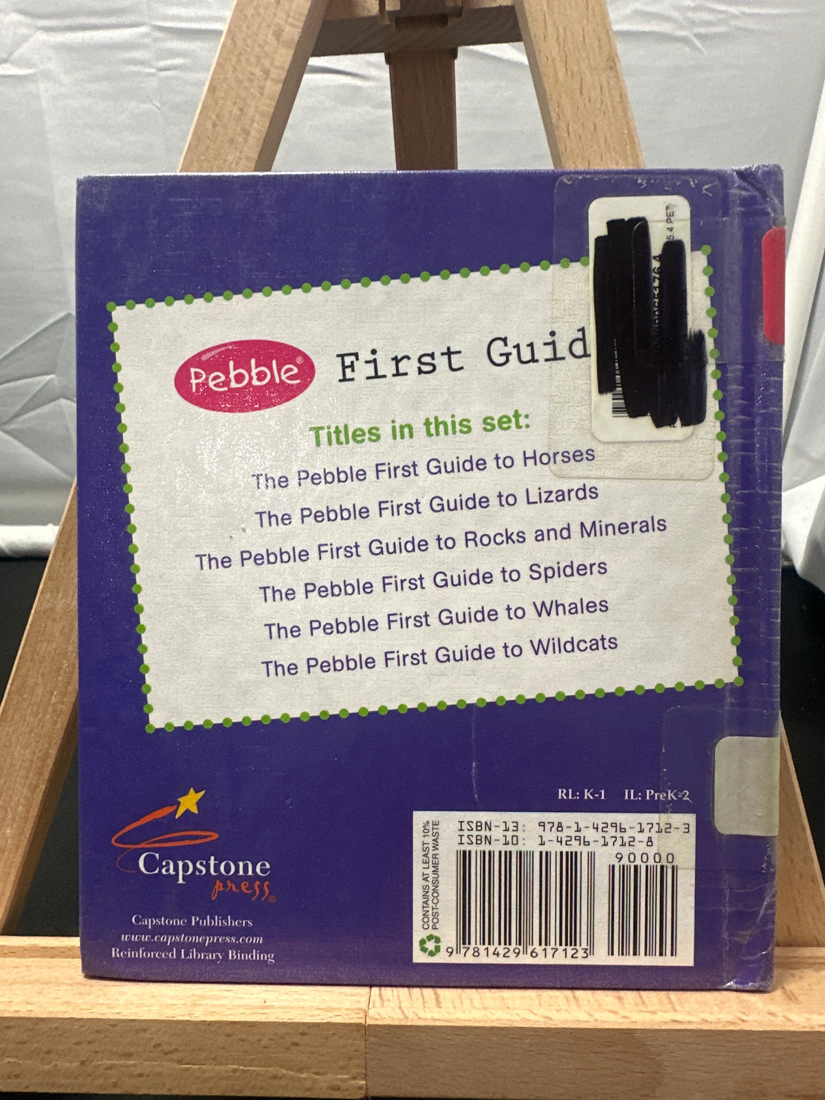 The Pebble first guide to spiders by Megan Cooley Peterson Hardcover Children's