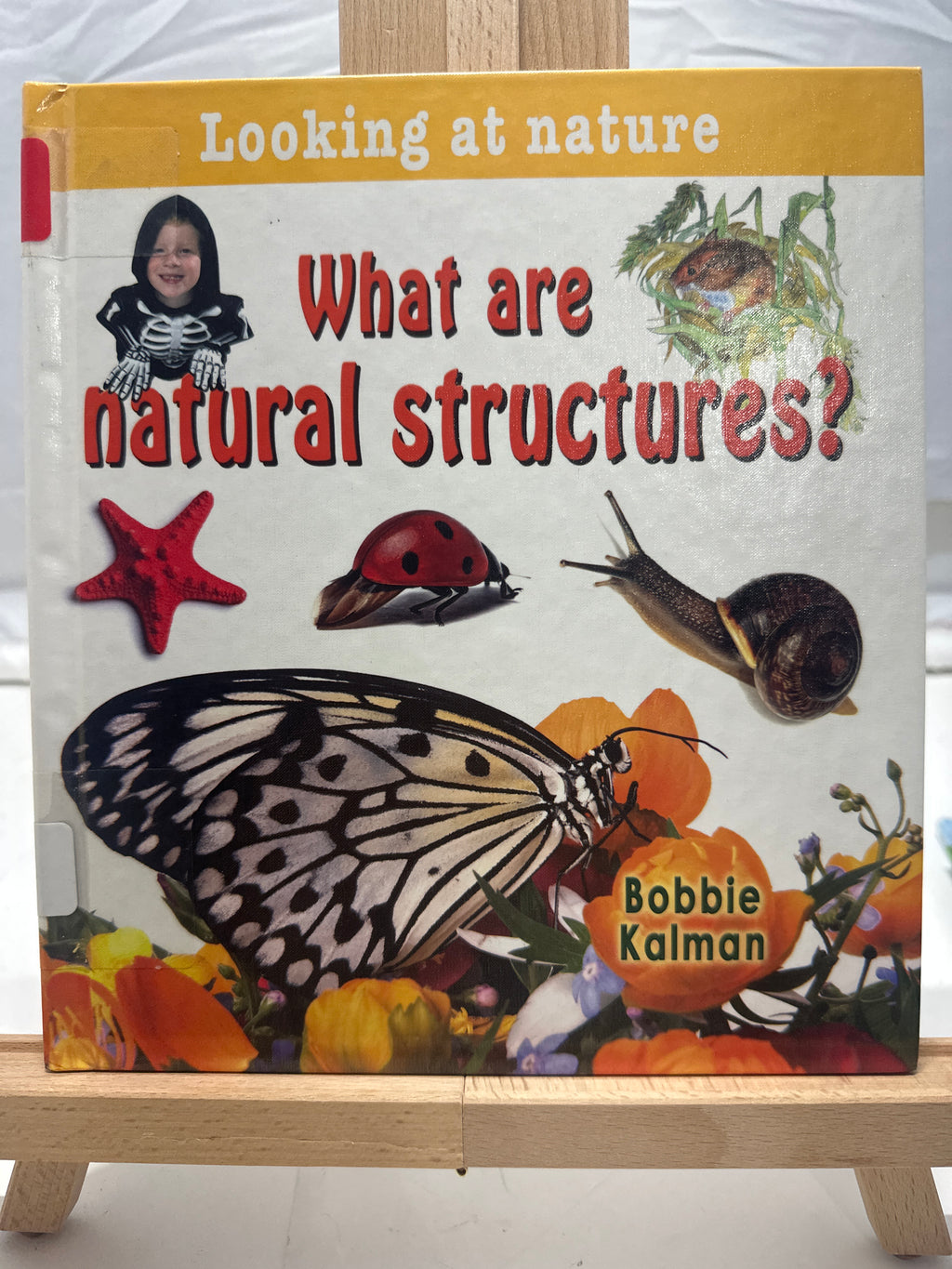 What are natural structures? by Bobbie Kalman Hardcover Children's Book