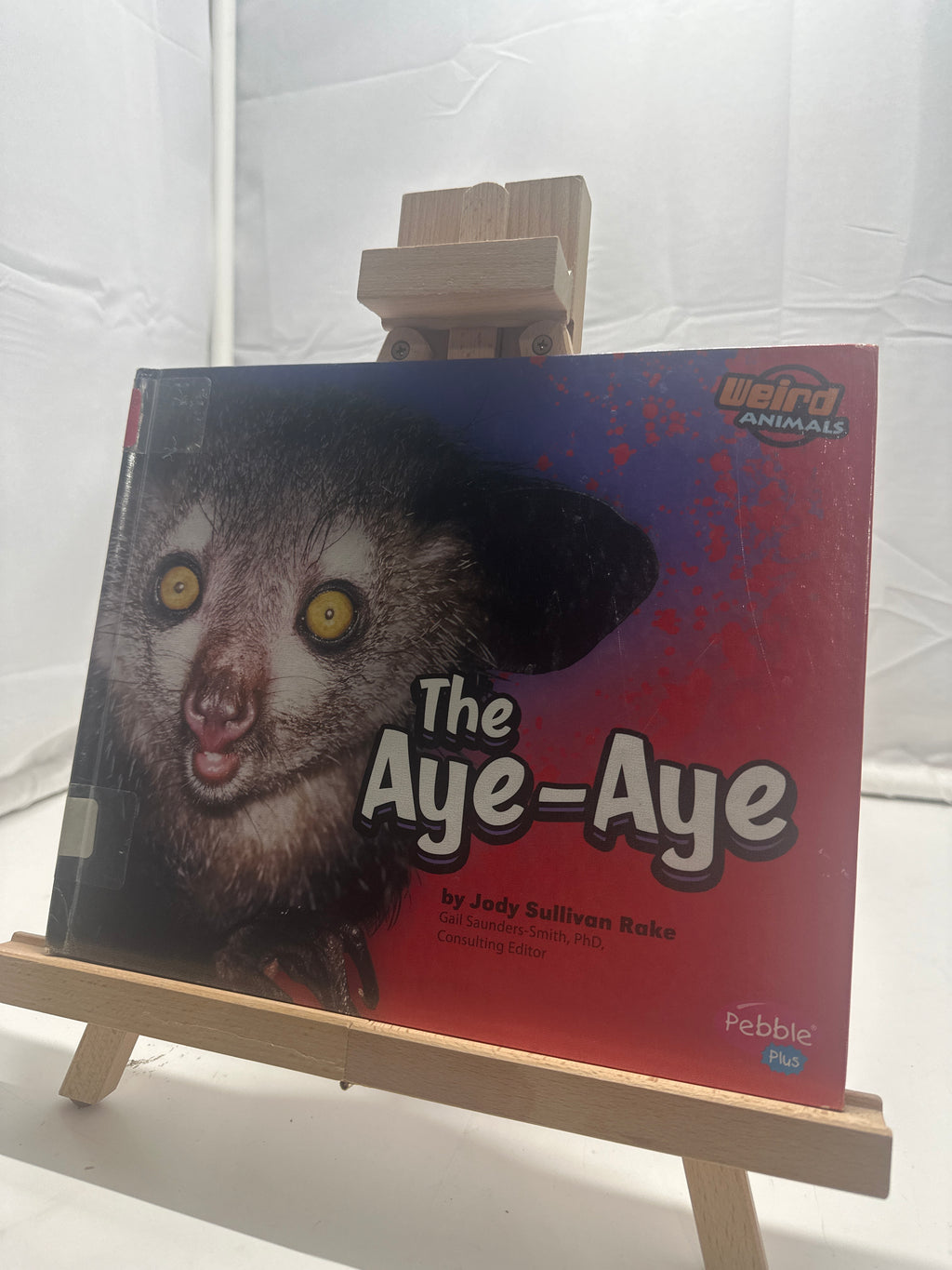 The Aye-Aye by Jody Sullivan Rake Hardcover