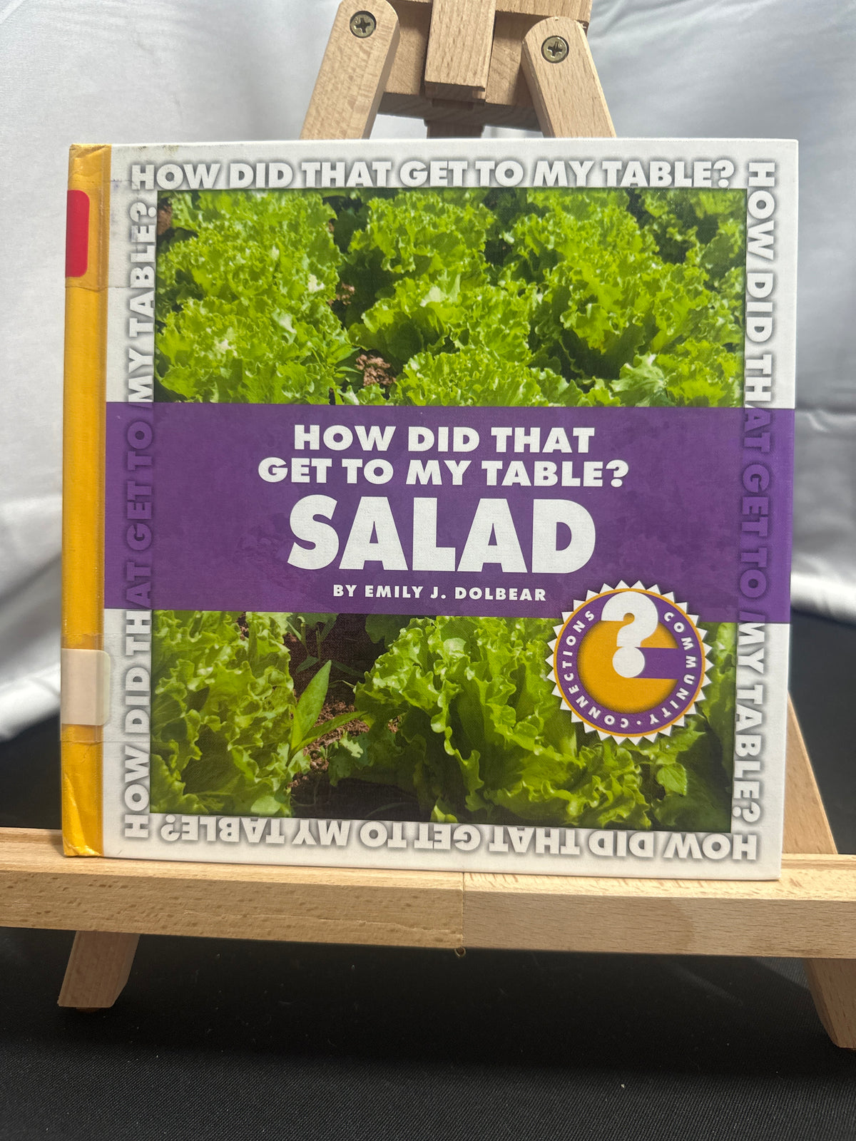 Salad by Emily J. Dolbear Hardcover Children's Book