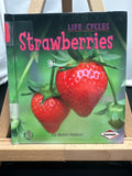 Strawberries by Nelson, Robin Hardcover Children's Book