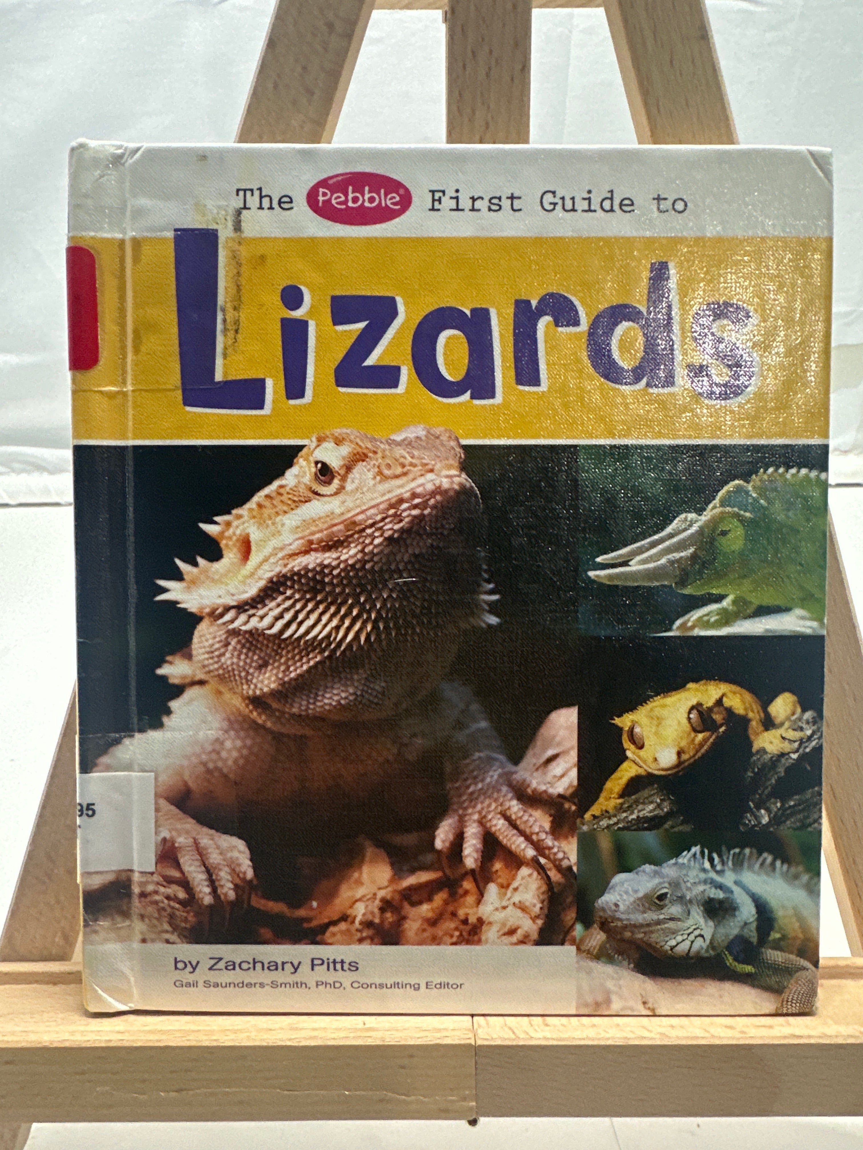 The pebble first guide to lizards by Zachary Pitts Hardcover Children's Book