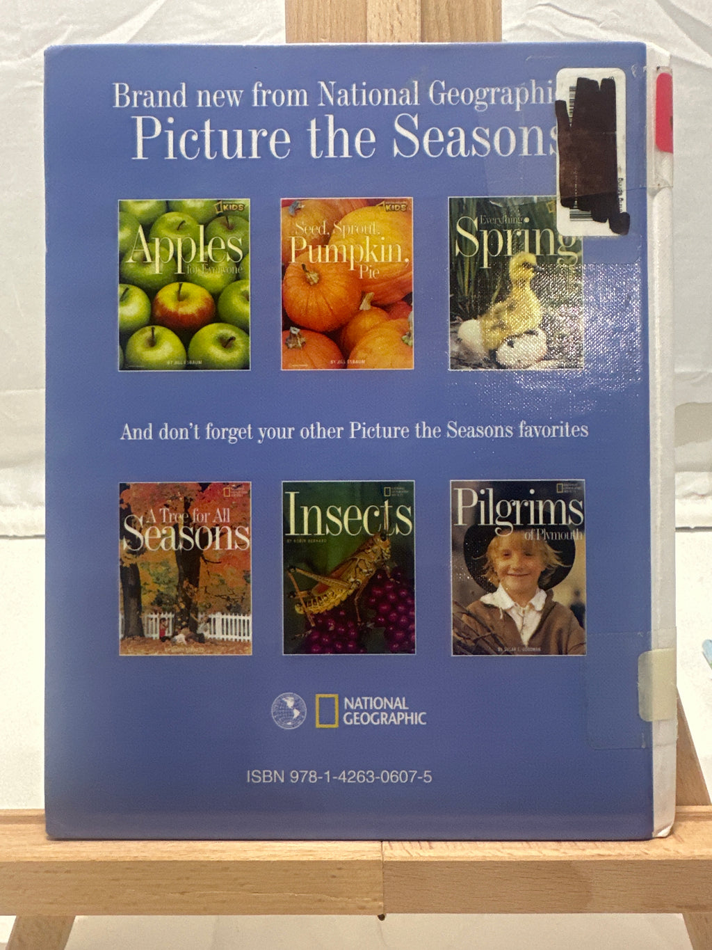 Everything spring by Jill Esbaum Hardcover