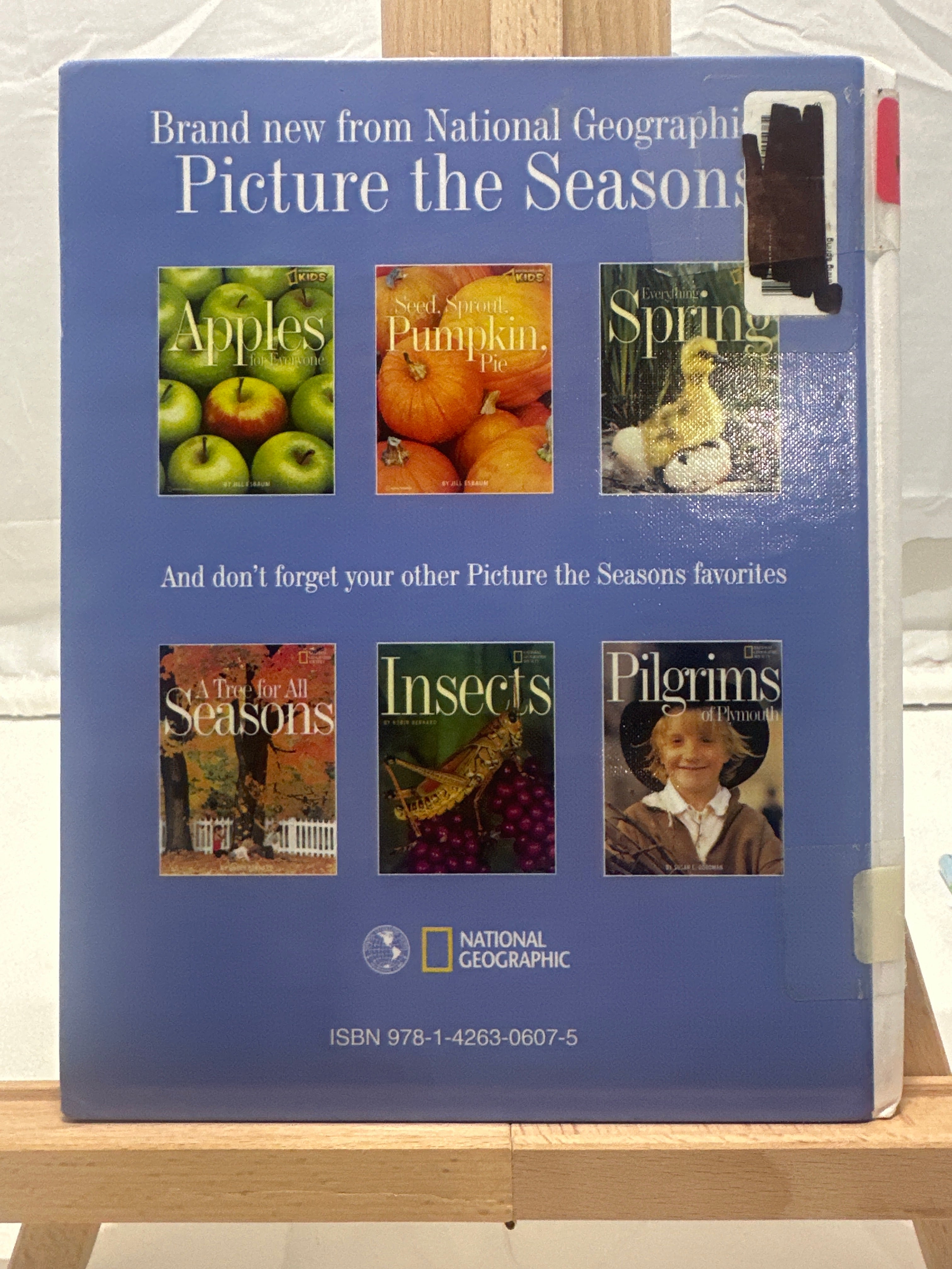 Everything spring by Jill Esbaum Hardcover