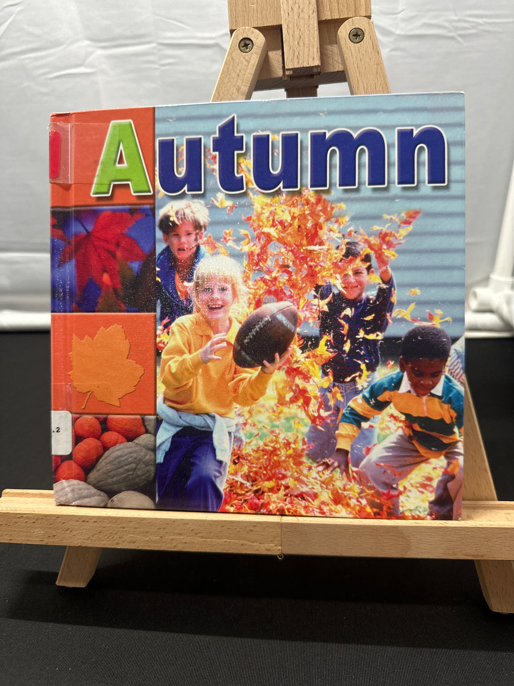 Autumn (Bridgestone Science Library Seasons) by Terri DeGezelle Hardcover