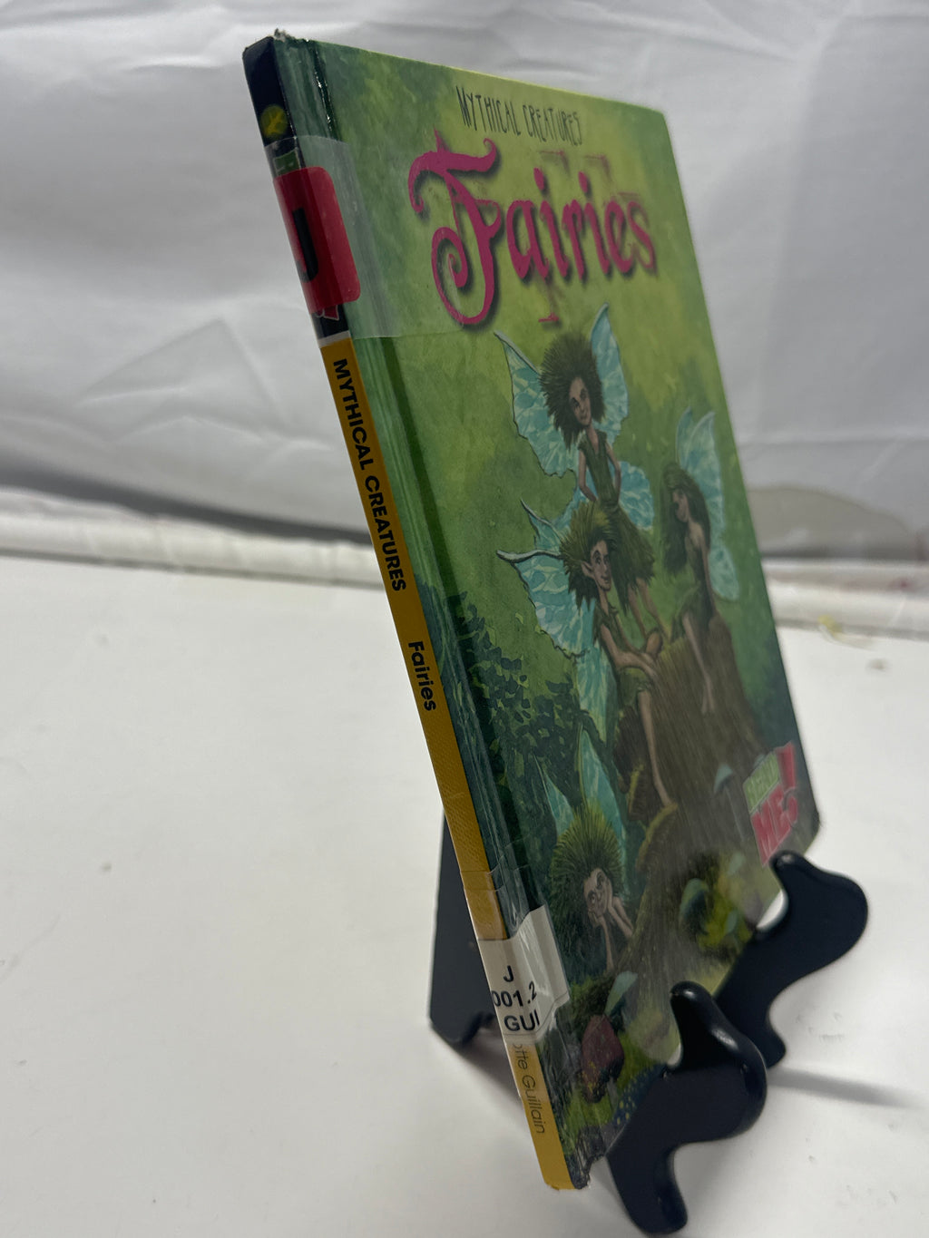 Fairies by Charlotte Guillain Hardcover Children's Book