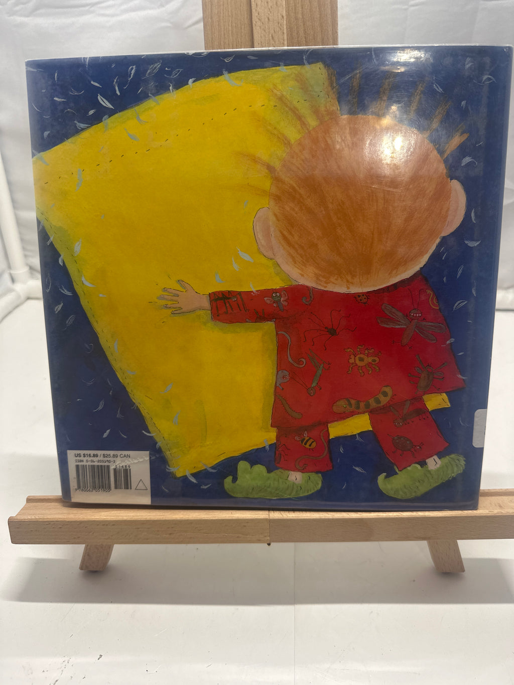 Good Night Pillow Fight by Sally Cook Hardcover